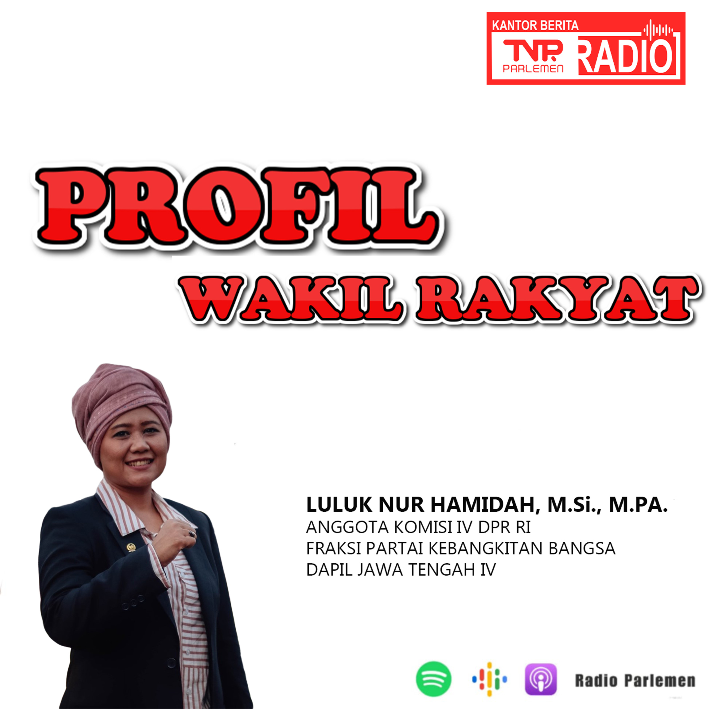 Profile Luluk Nur Hamidah episode artwork