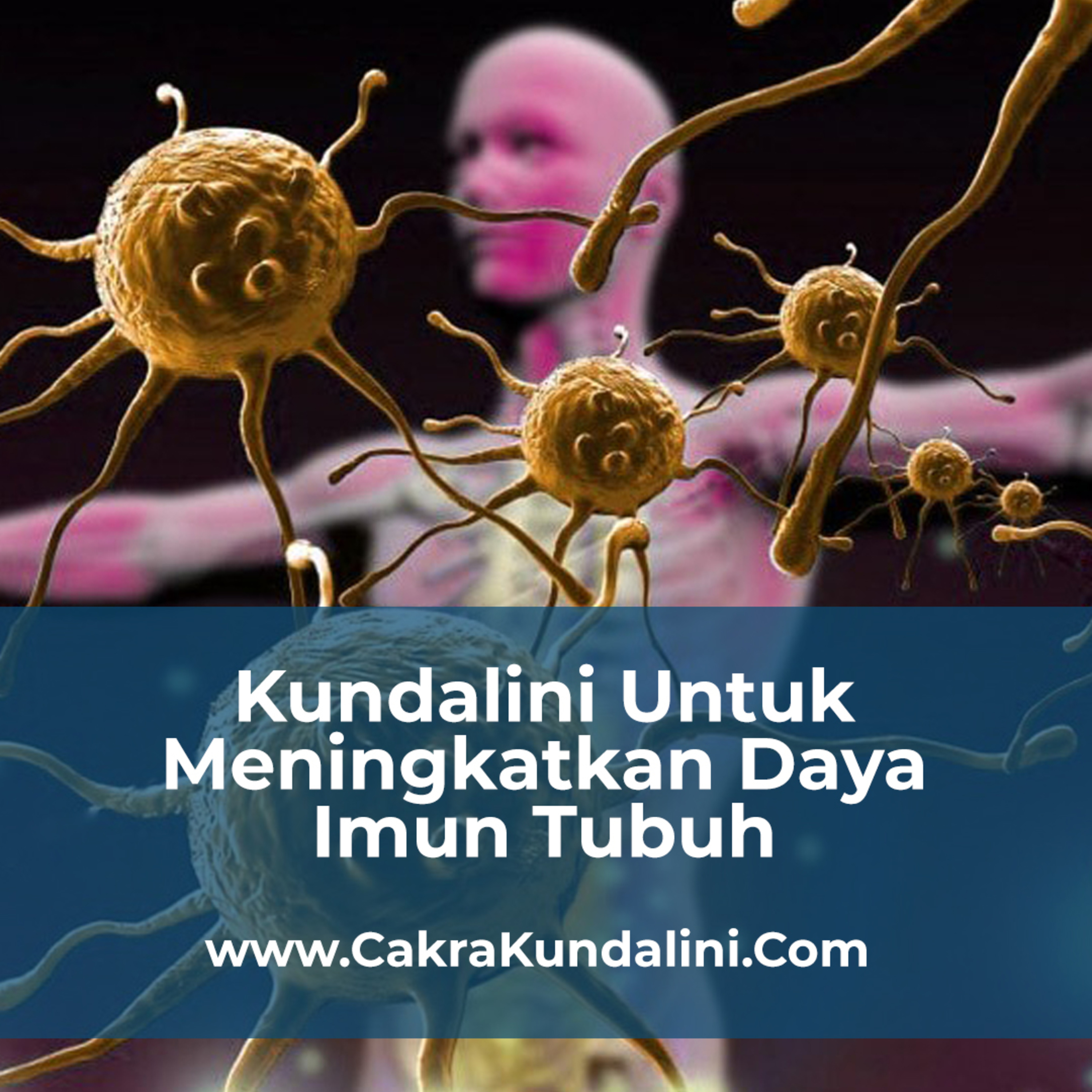 Menggunakan Kundalini Untuk Meningkatkan Daya Imun Tubuh