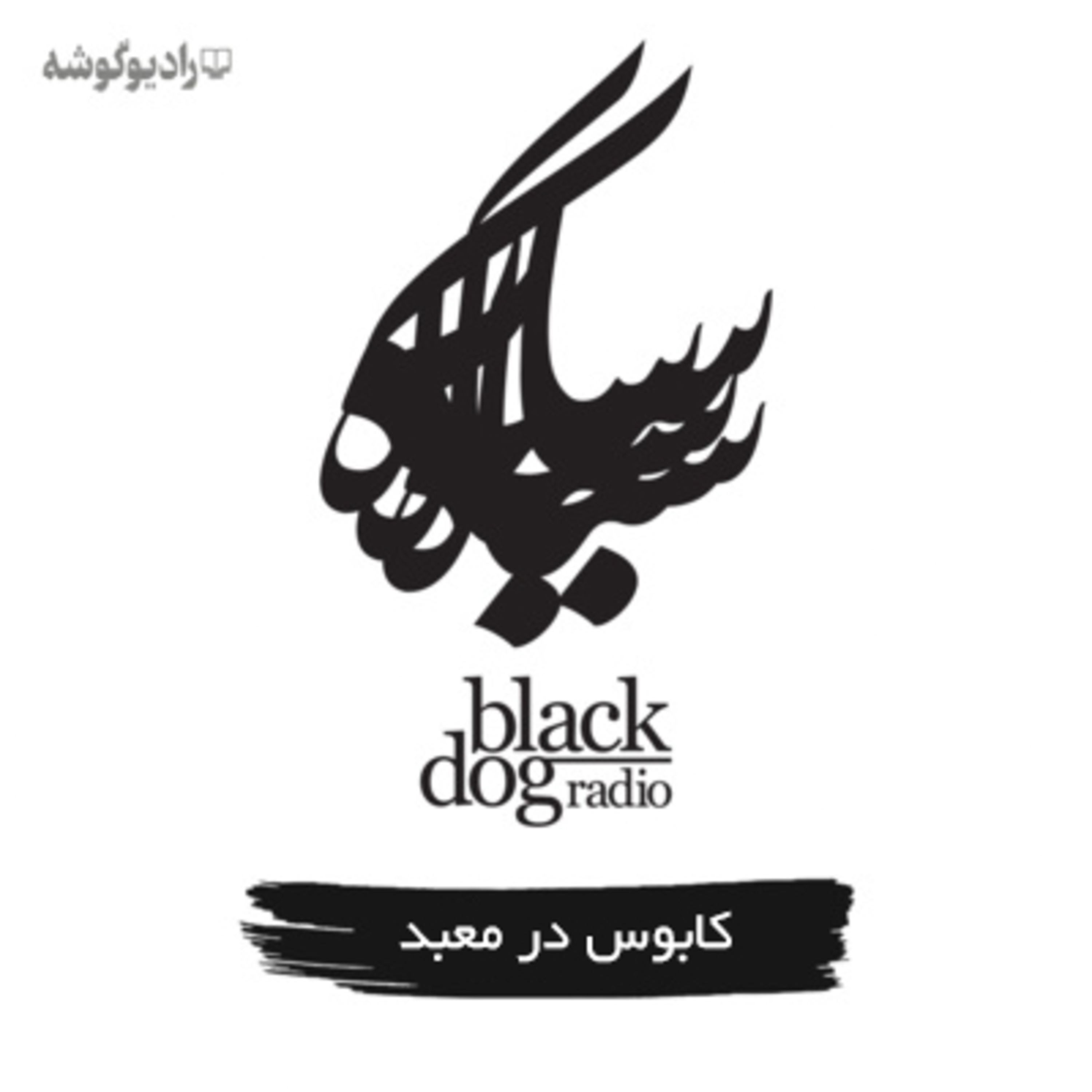 Black Dog Radio