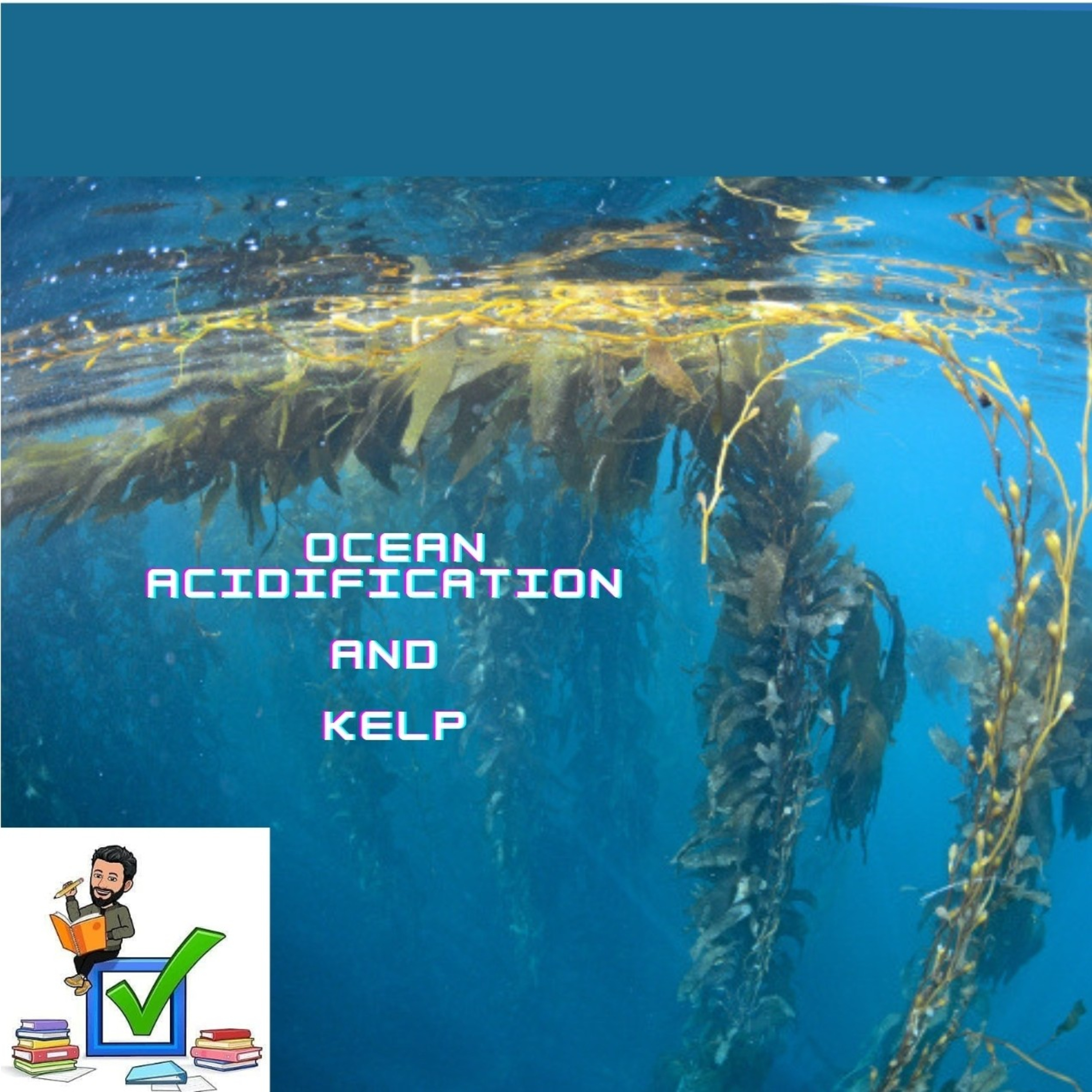 Ocean Acidification and Kelp(seaweed) #geography #environment #oceanography #upsc #prelims #revision