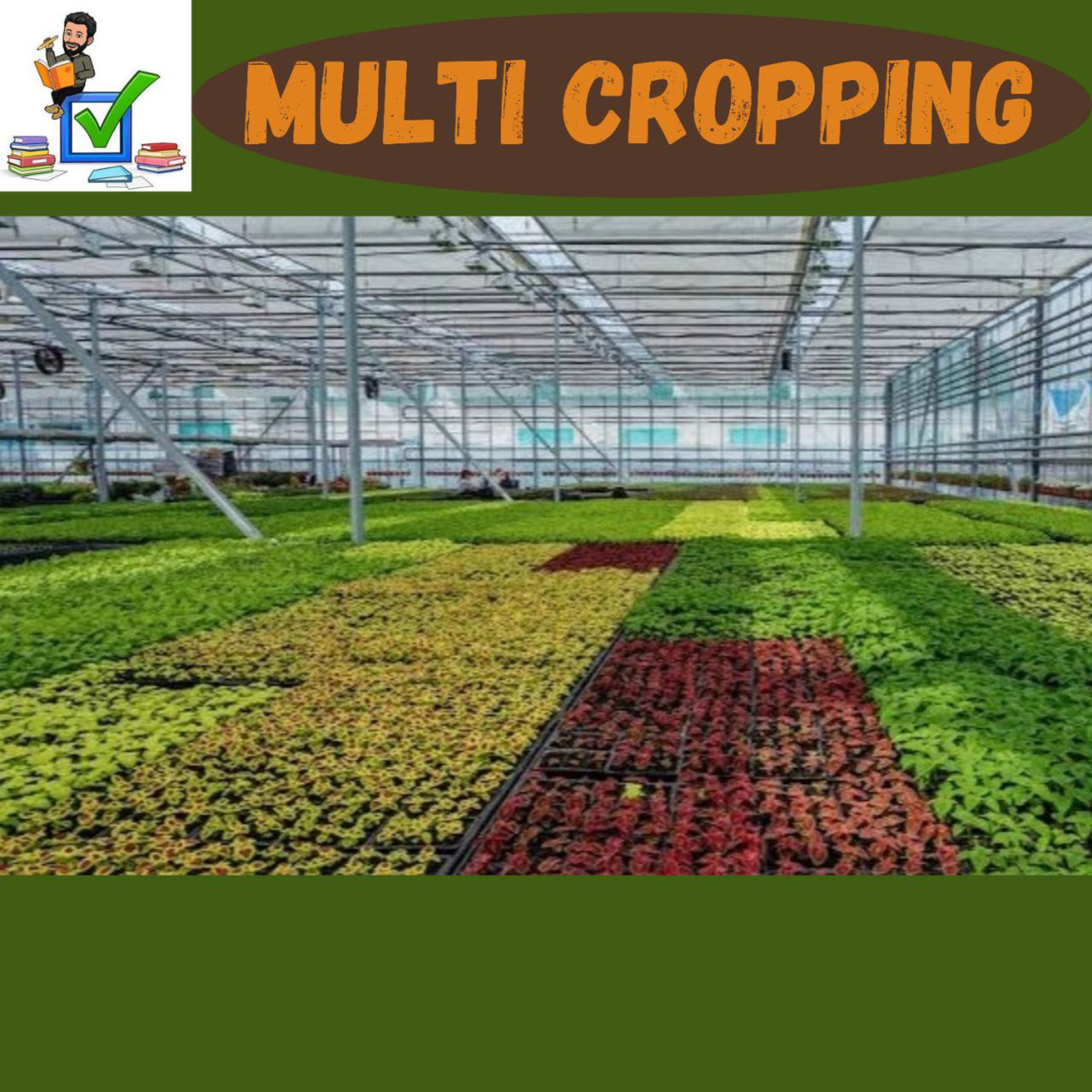Multi-Cropping #upsc #prelims #mains #agriculture #economy #farming #cropping #agronomy