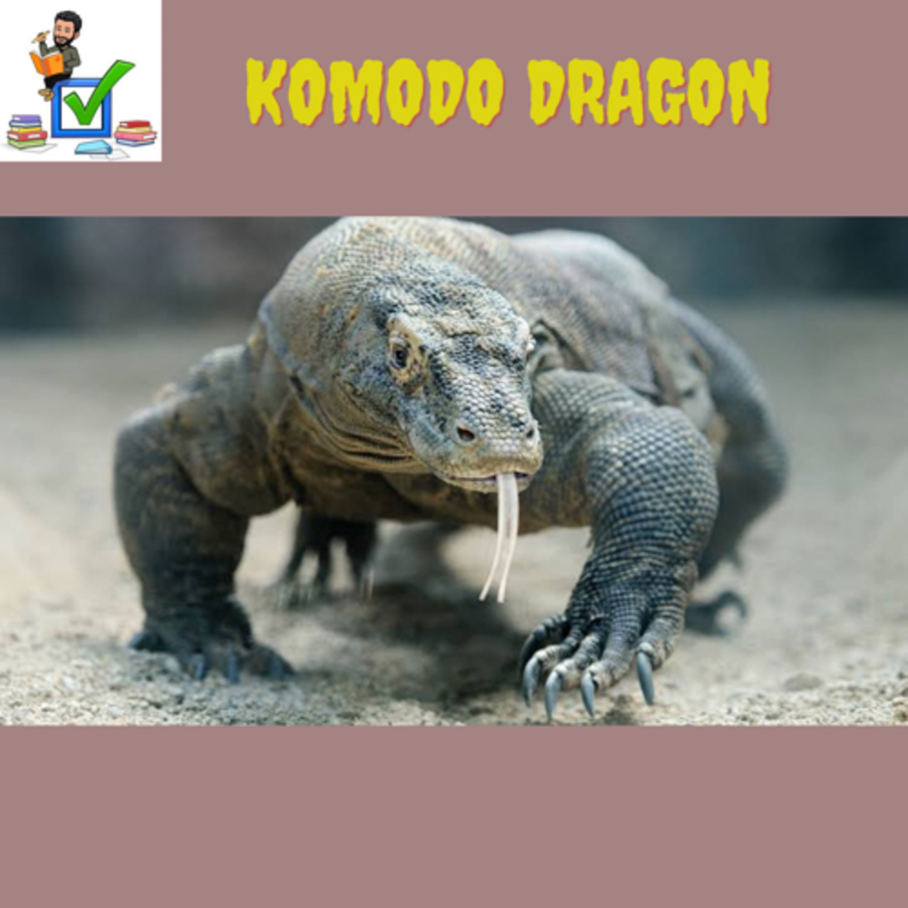 Komodo Dragon #upsc #prelims #mains #environment #biodiversity #climatechange episode artwork
