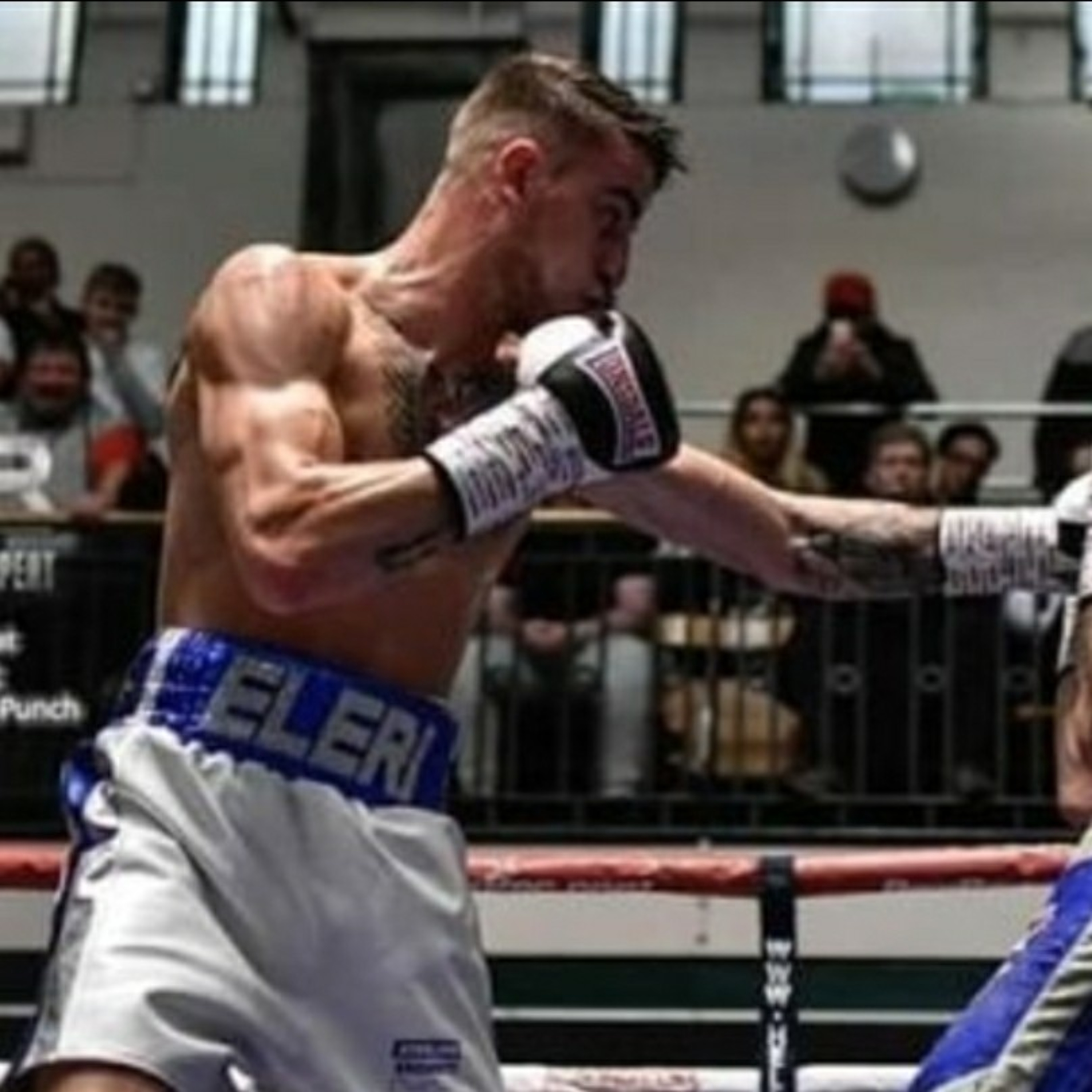Boxing Viewpoint