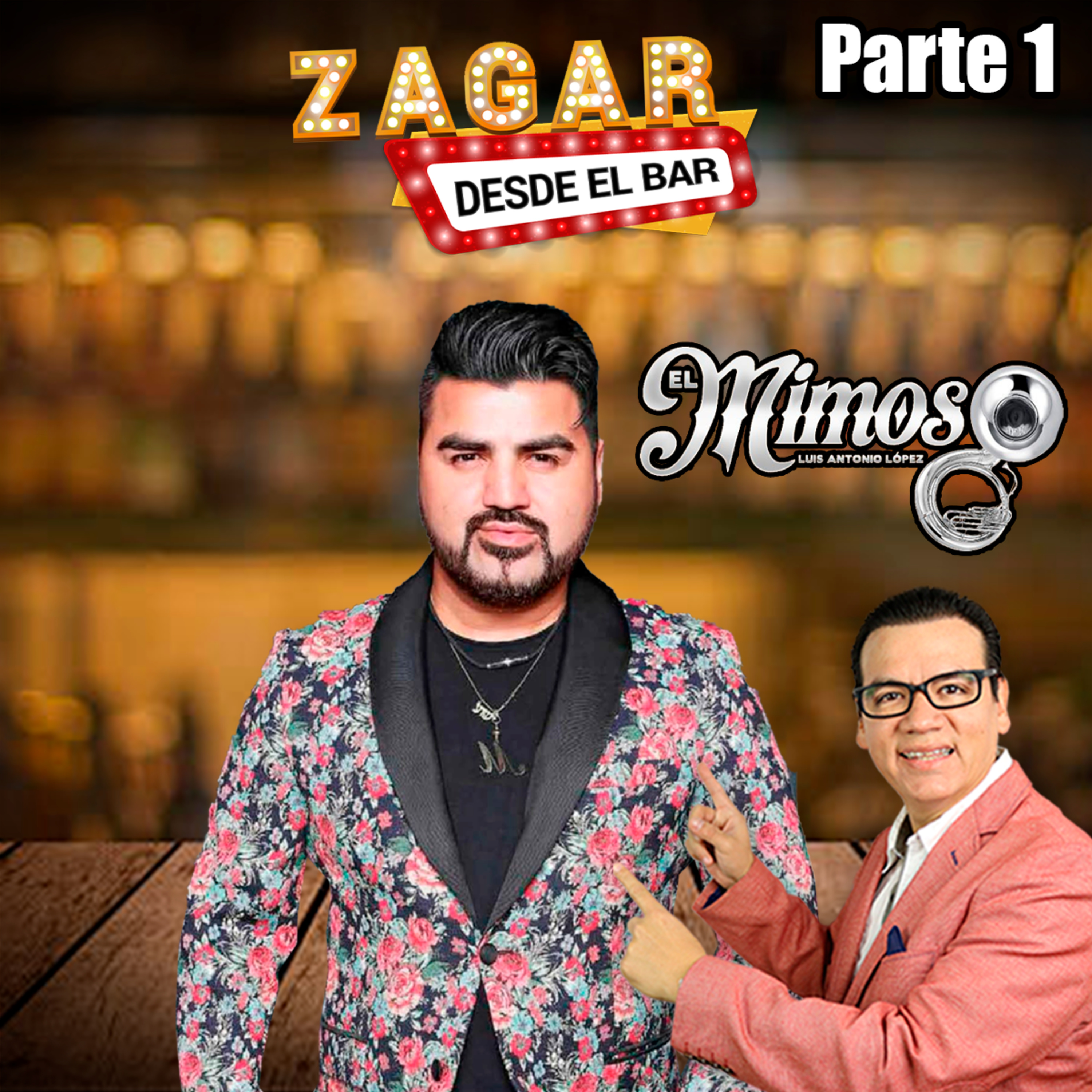 Zagar Desde el Bar