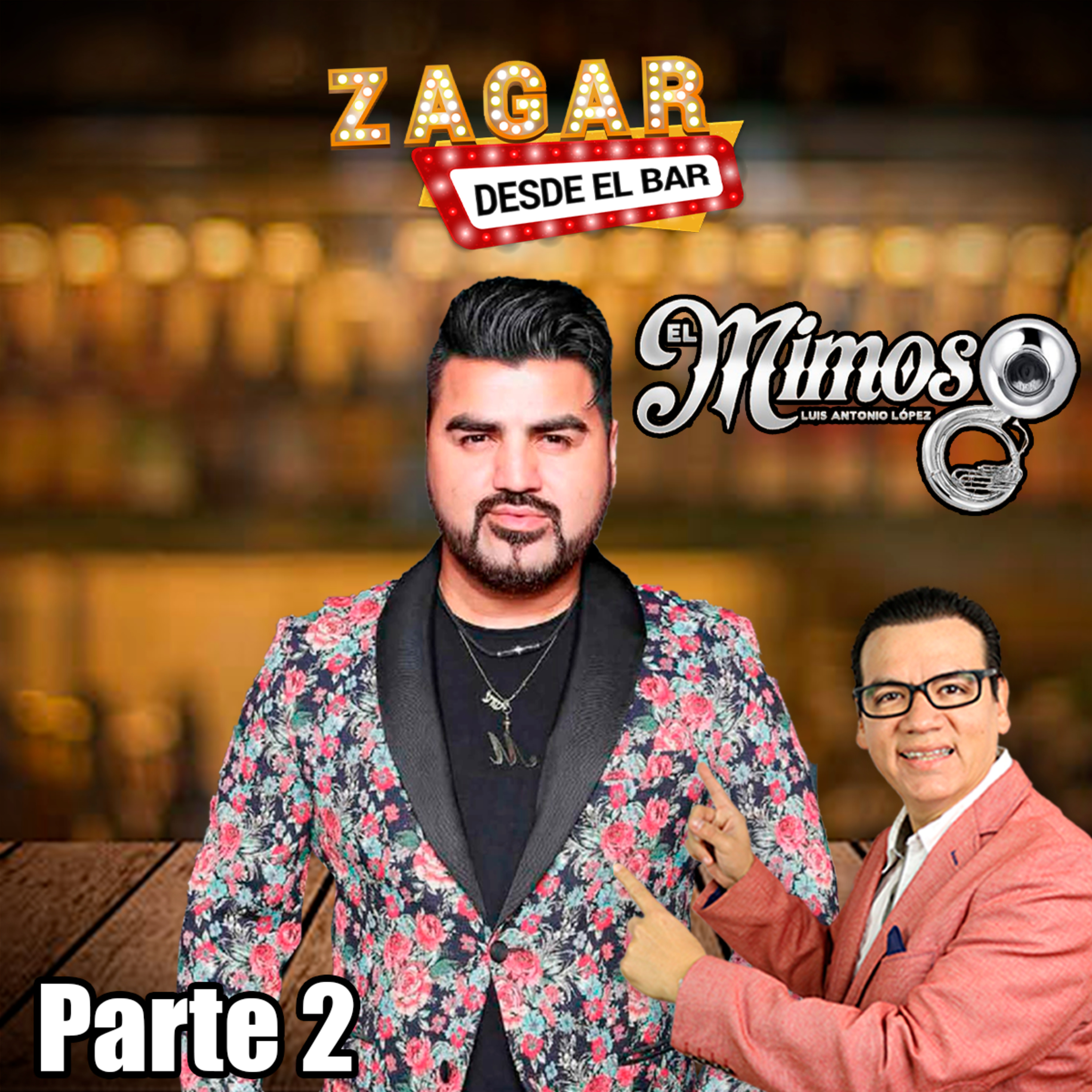 Zagar Desde el Bar