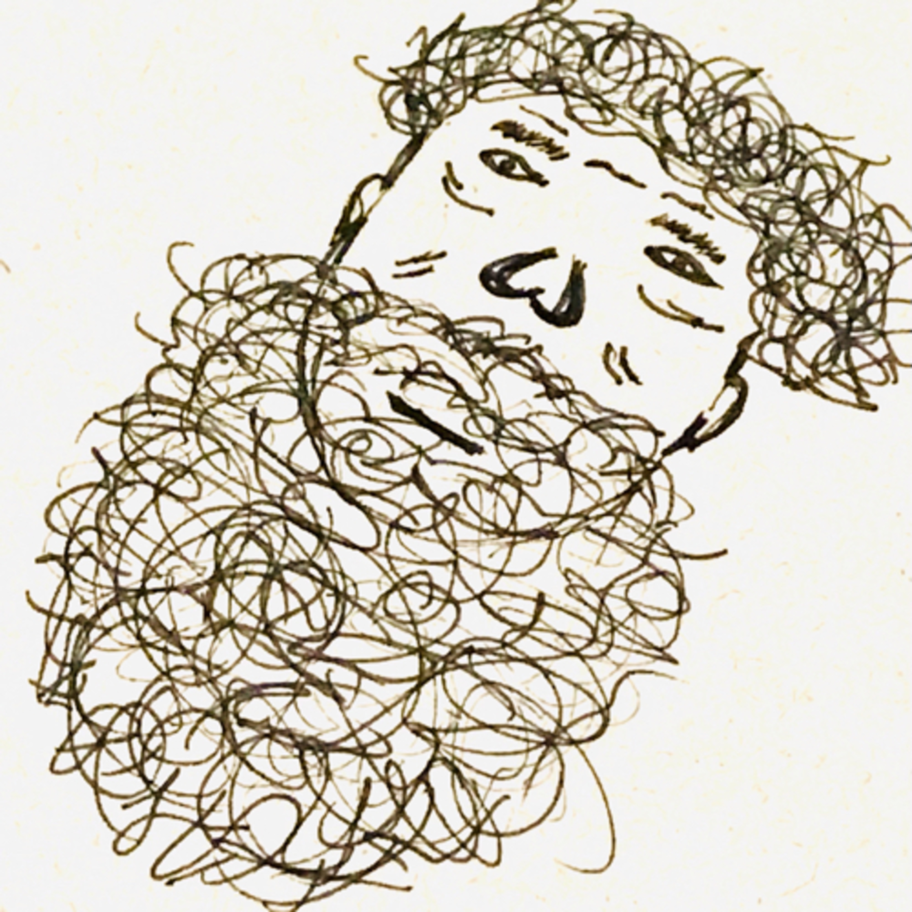 Poesia desvelada