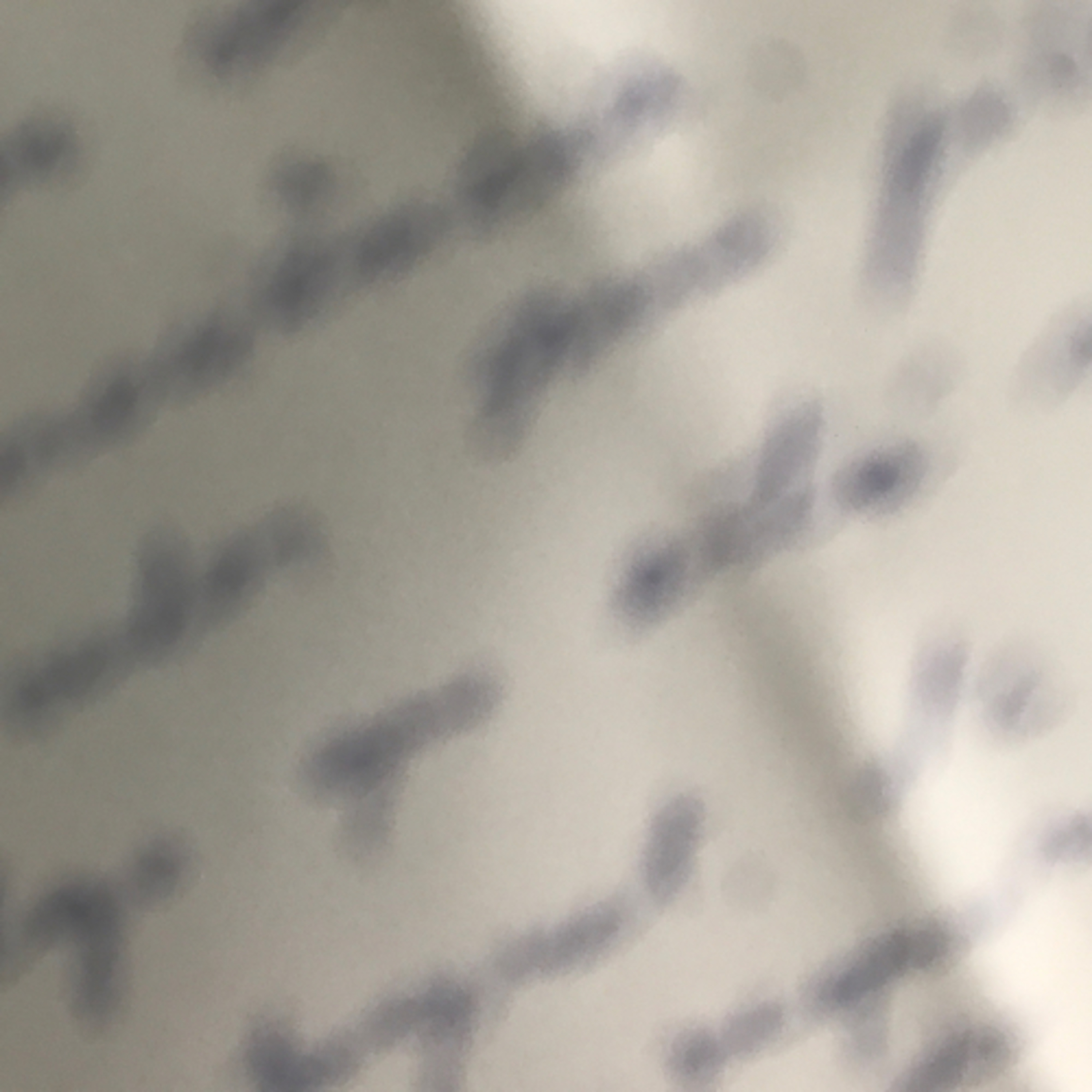 Poesia desvelada