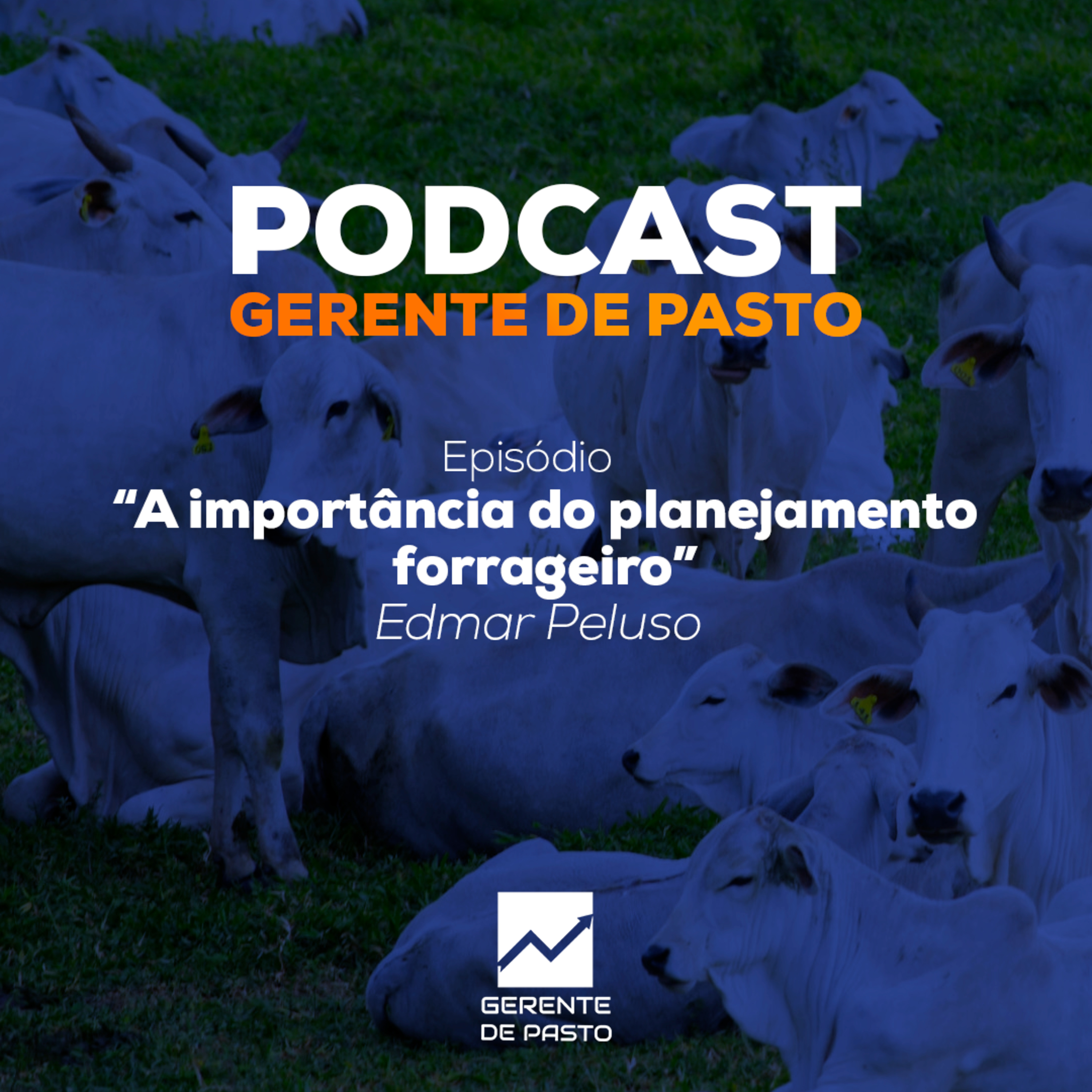 Gerente de Pasto