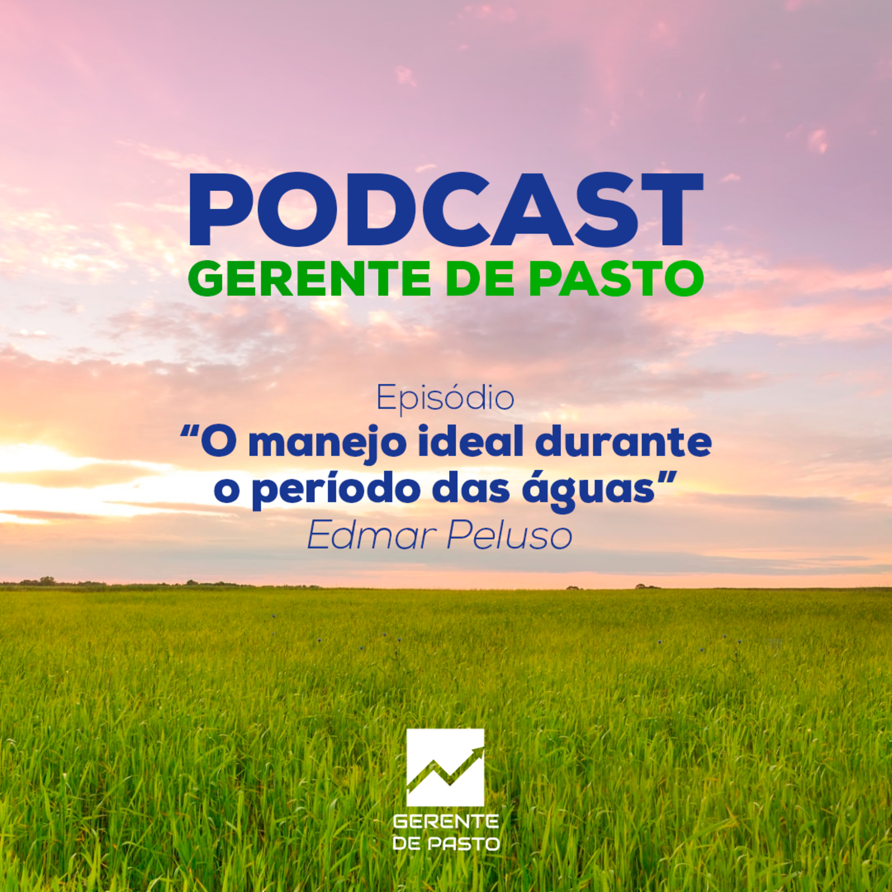 Gerente de Pasto