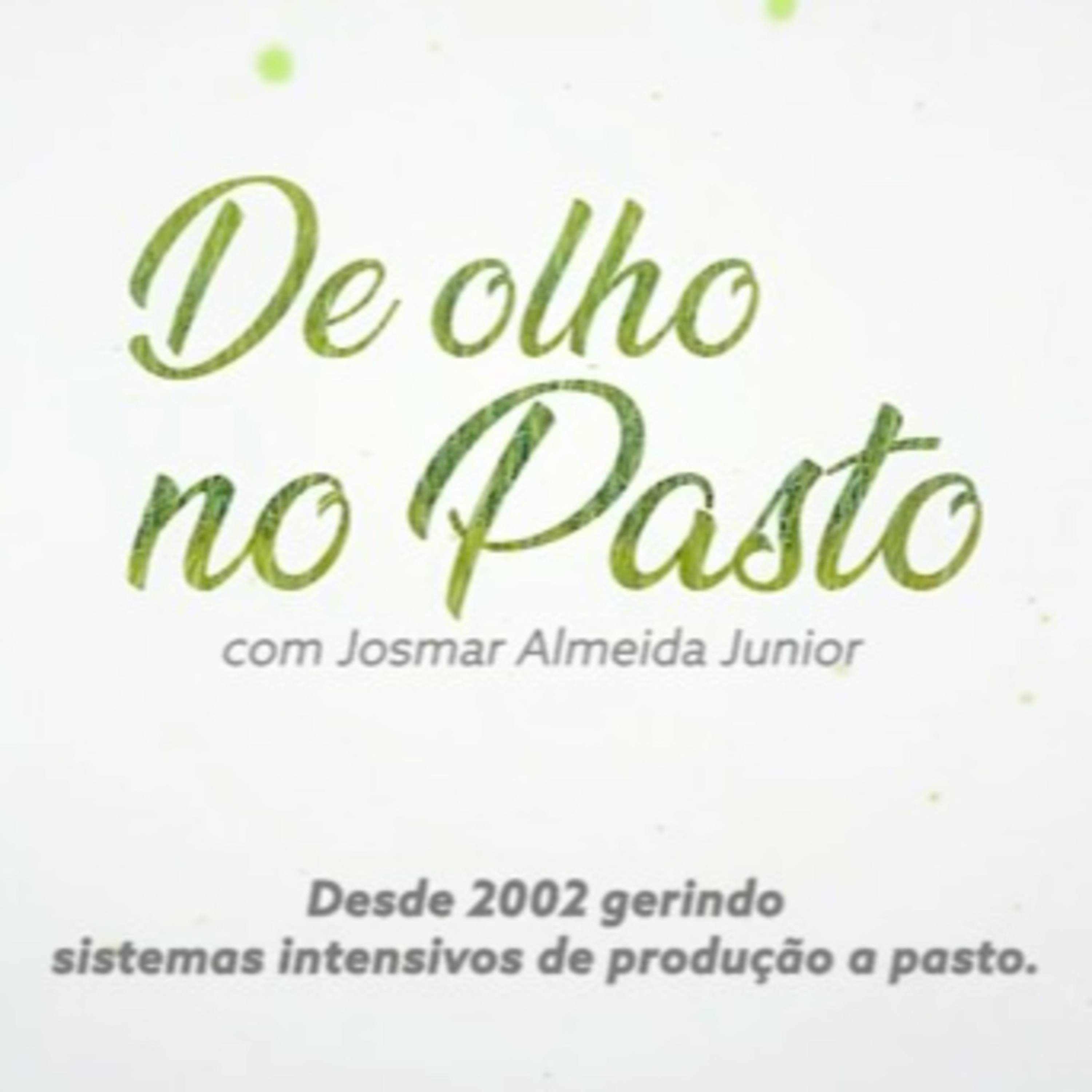 Gerente de Pasto