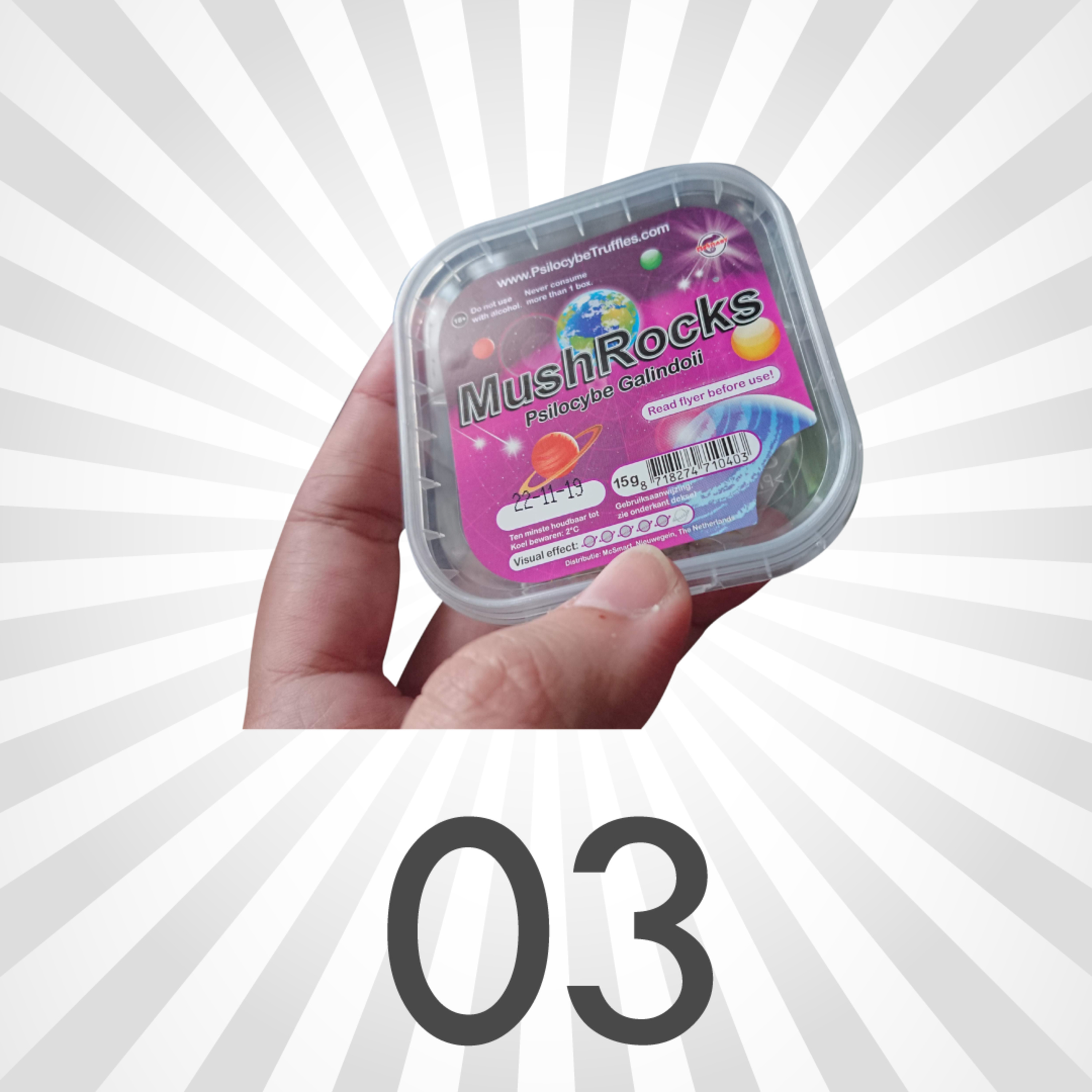 03 - Cogumelos
