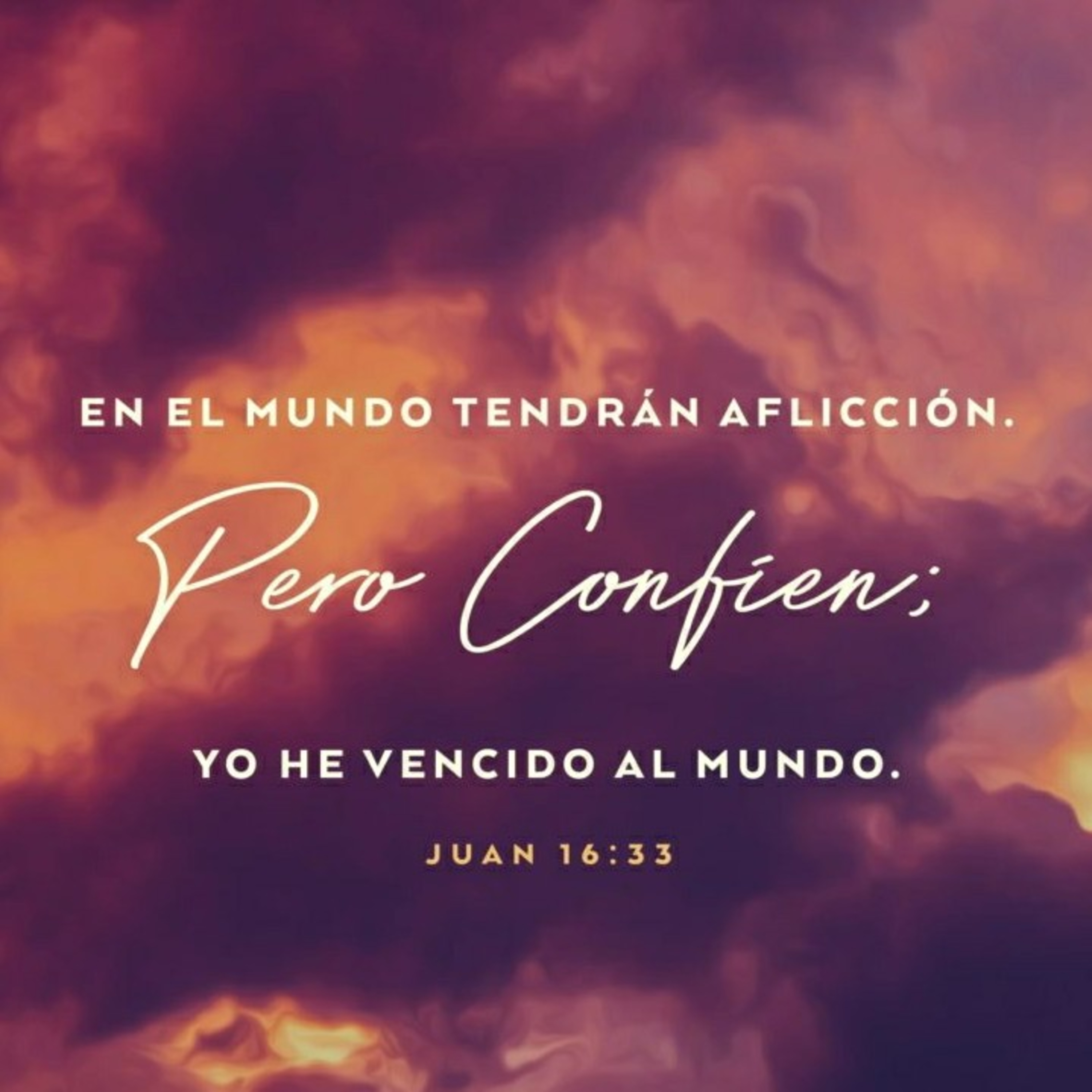 hugoolivas.com