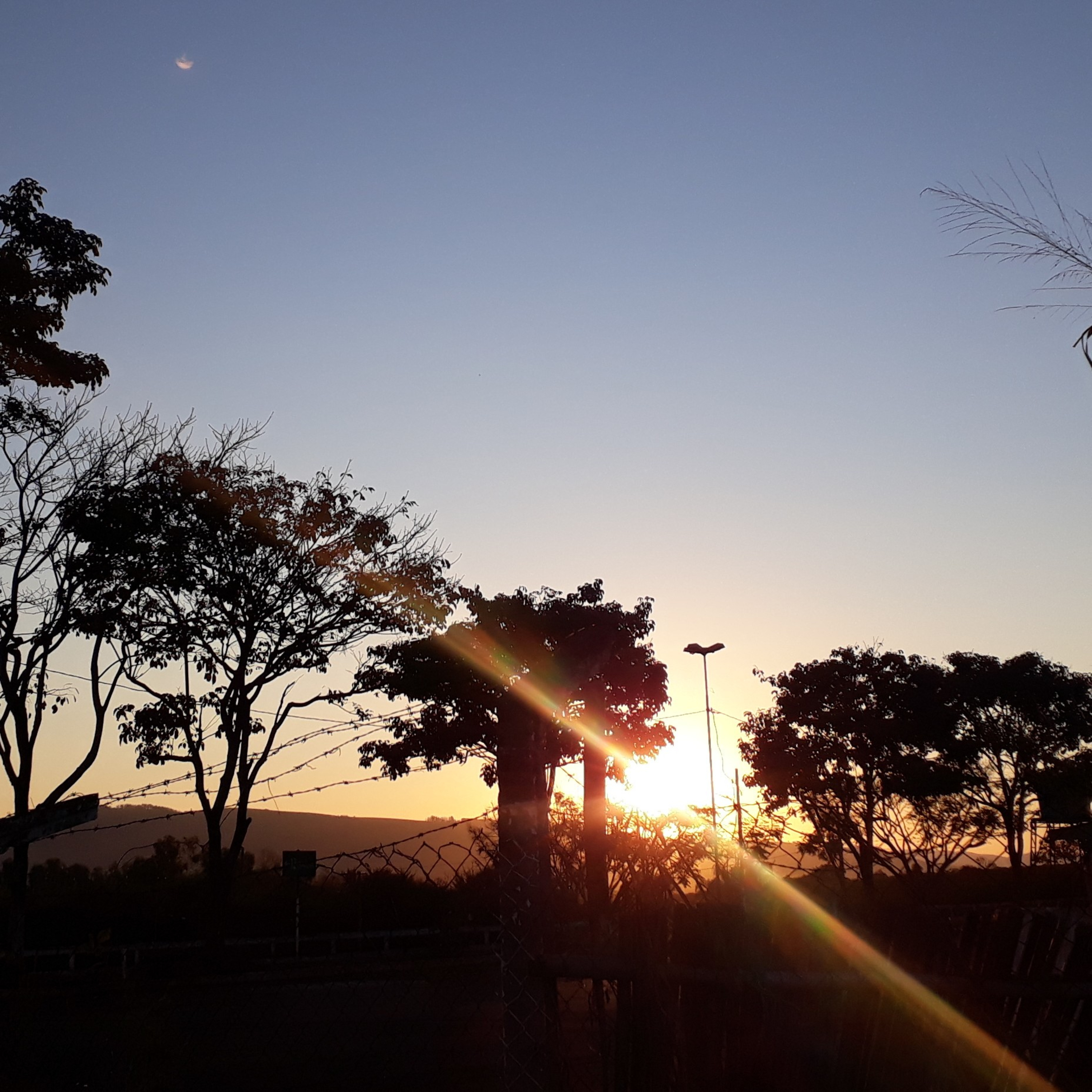 Aleatoriedades De Uma Mente Confusa