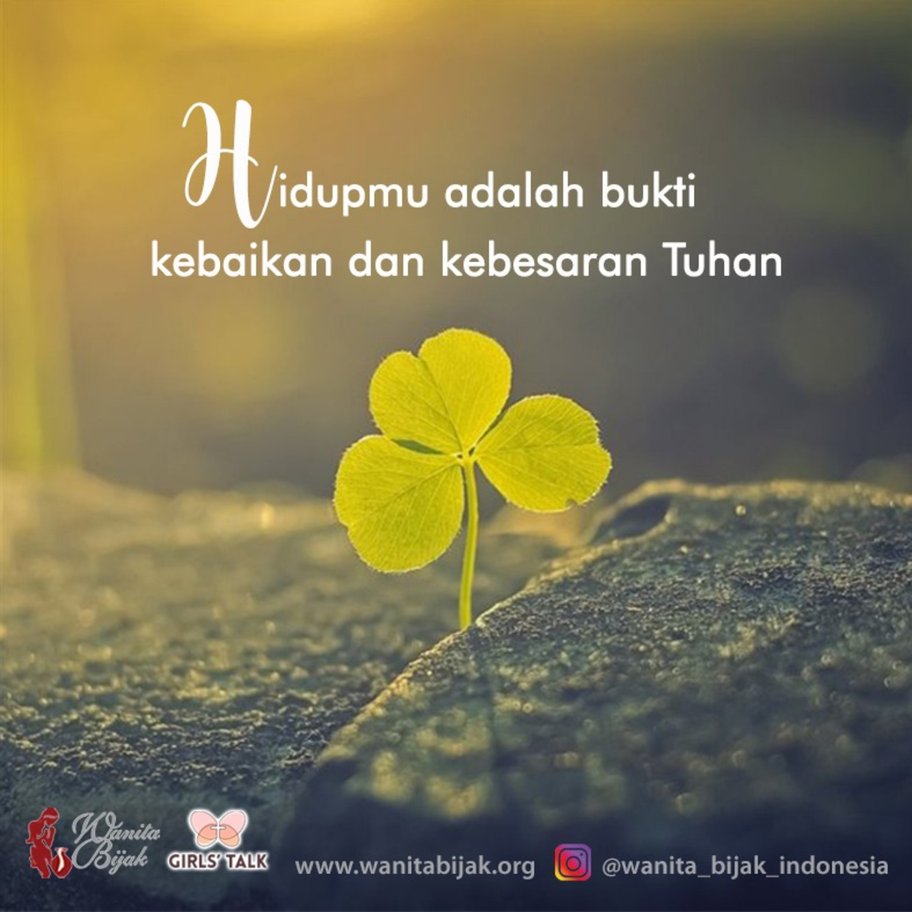 Wanita Bijak Indonesia