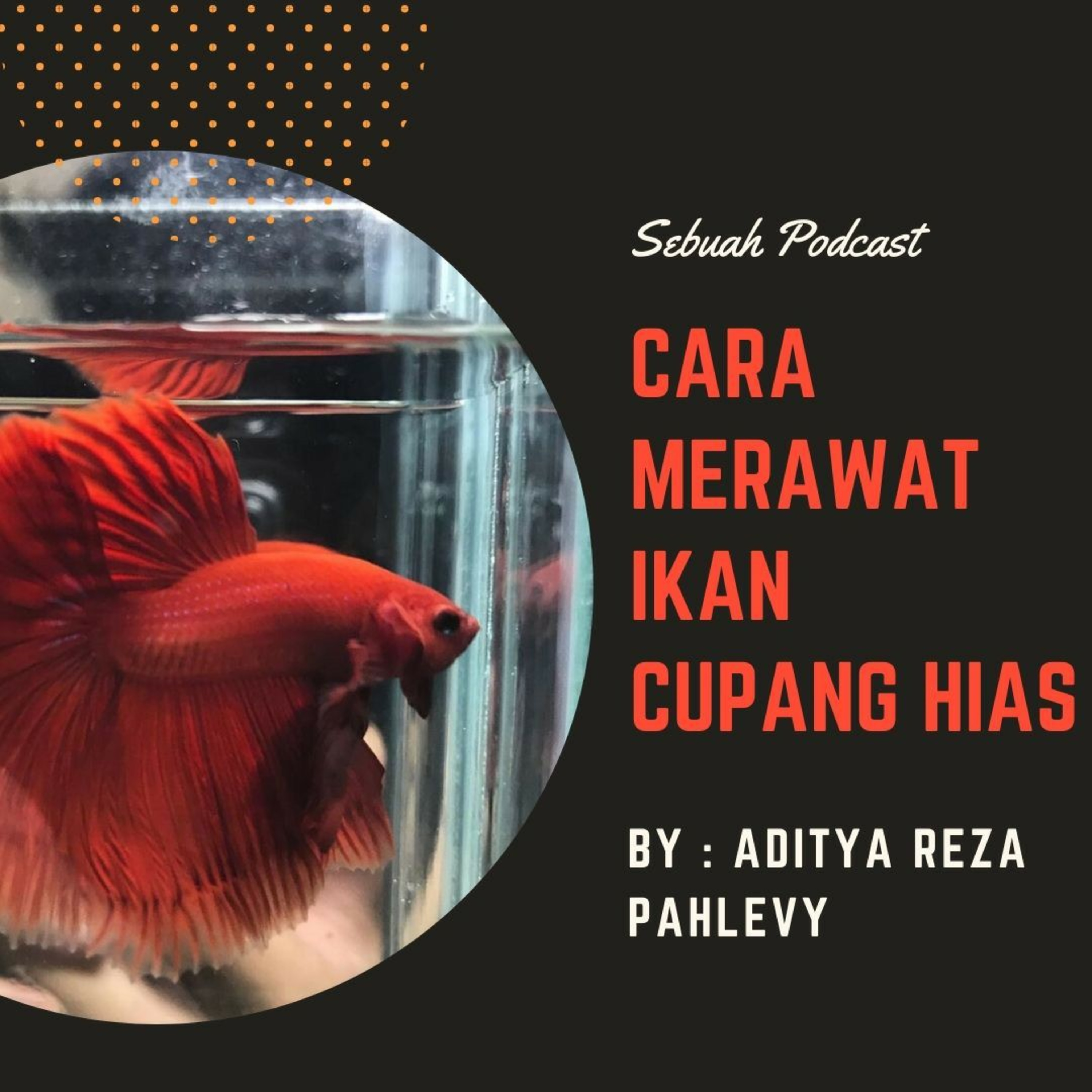 Tips & Trik Merawat Ikan Cupang Hias by Aditya Reza Pahlevy episode artwork