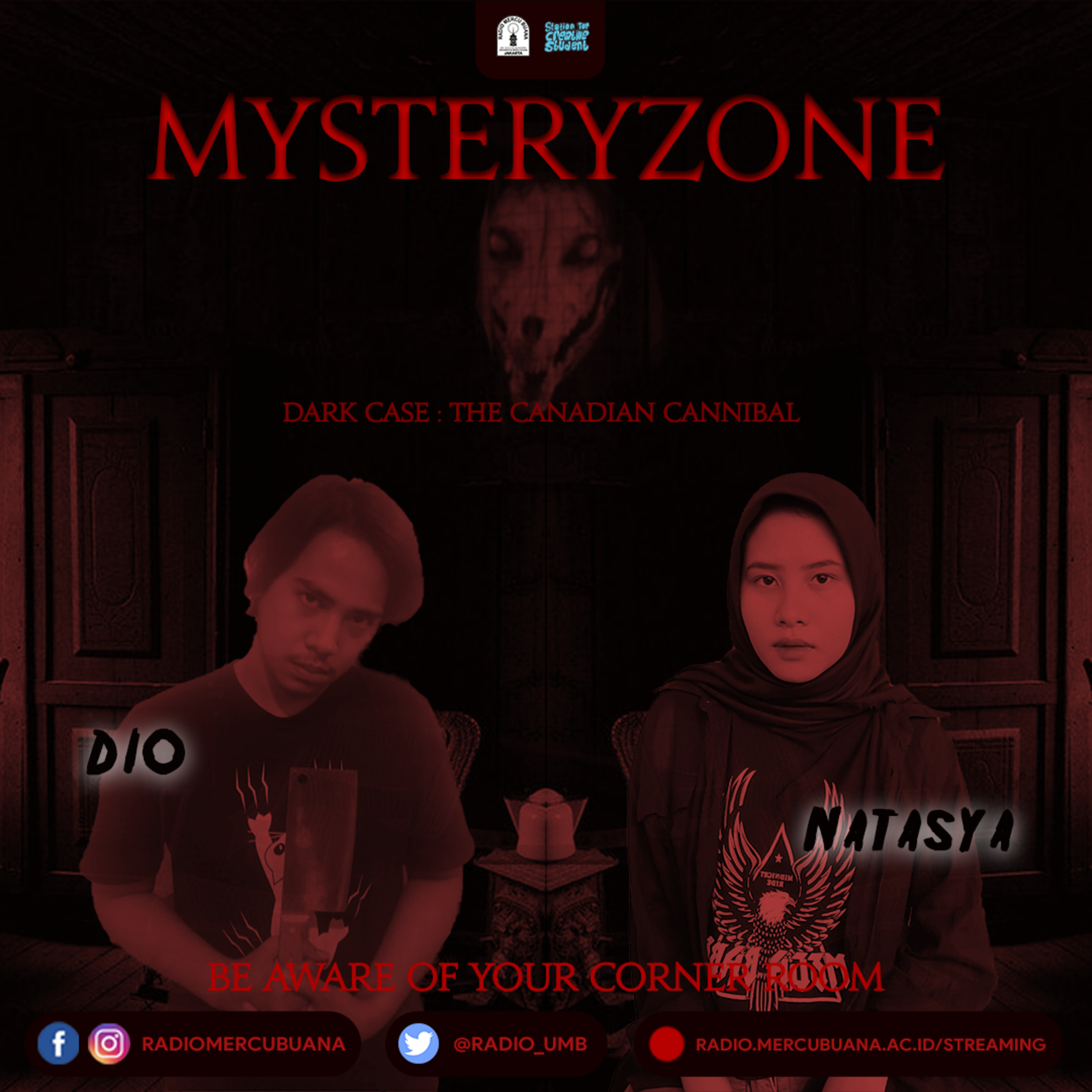 Mistery Zone episode artwork