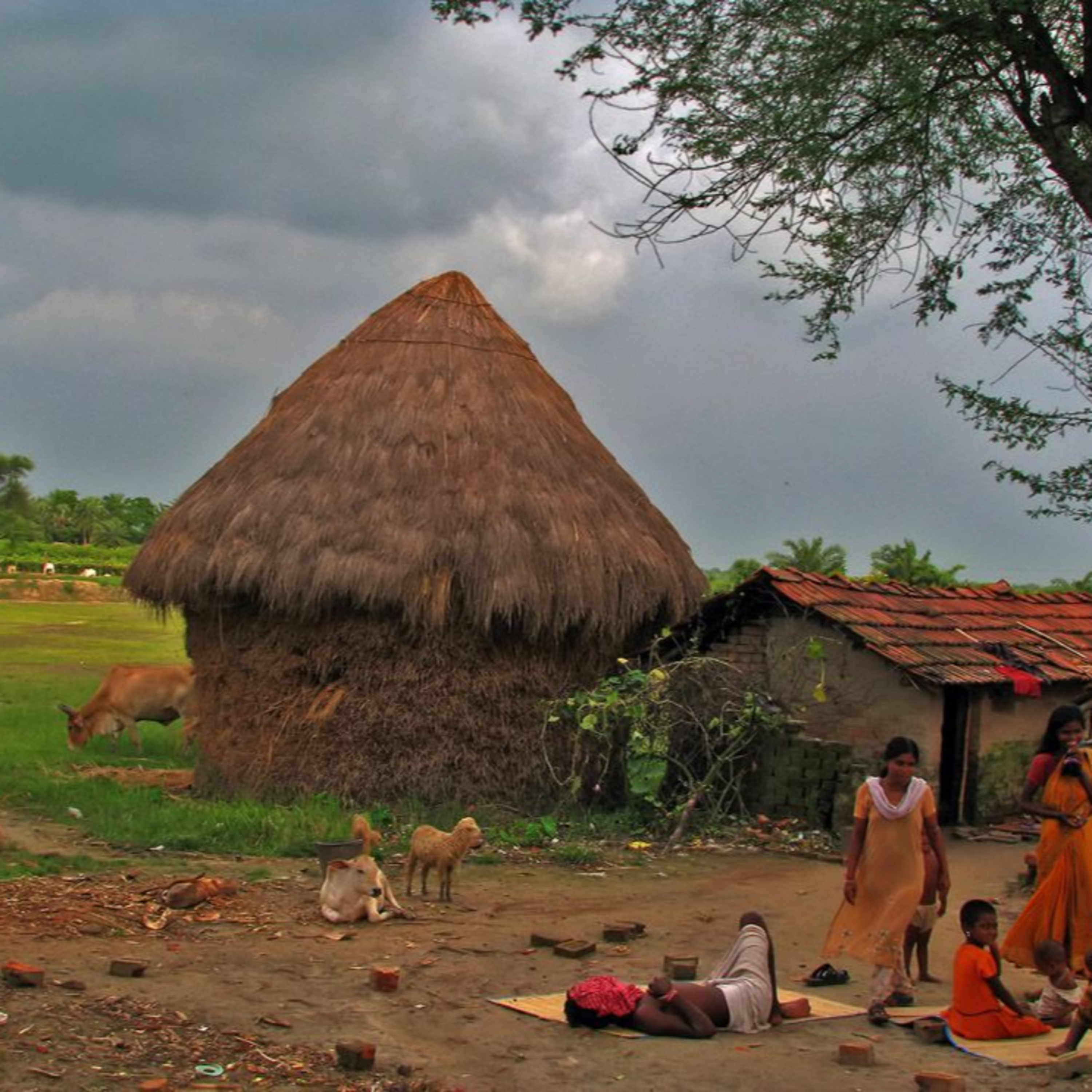 Life is beautiful if we just observe the happenings around