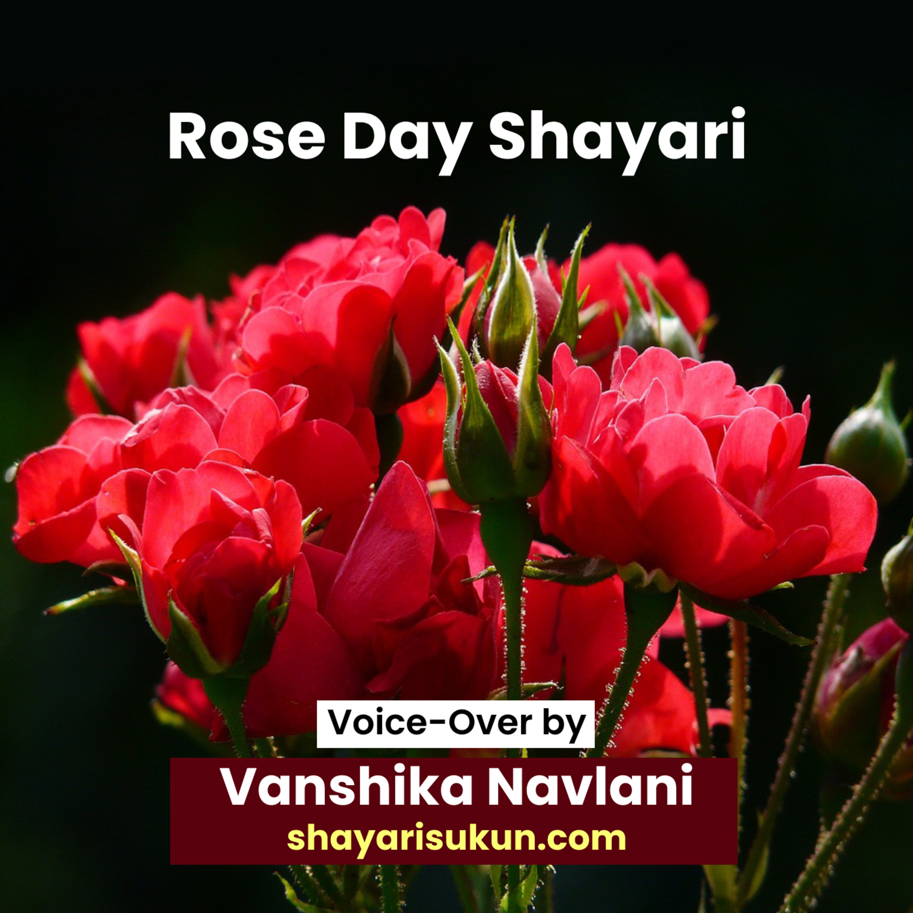 Shayari Sukun: The Best Hindi Urdu Poetry Shayari Podcast
