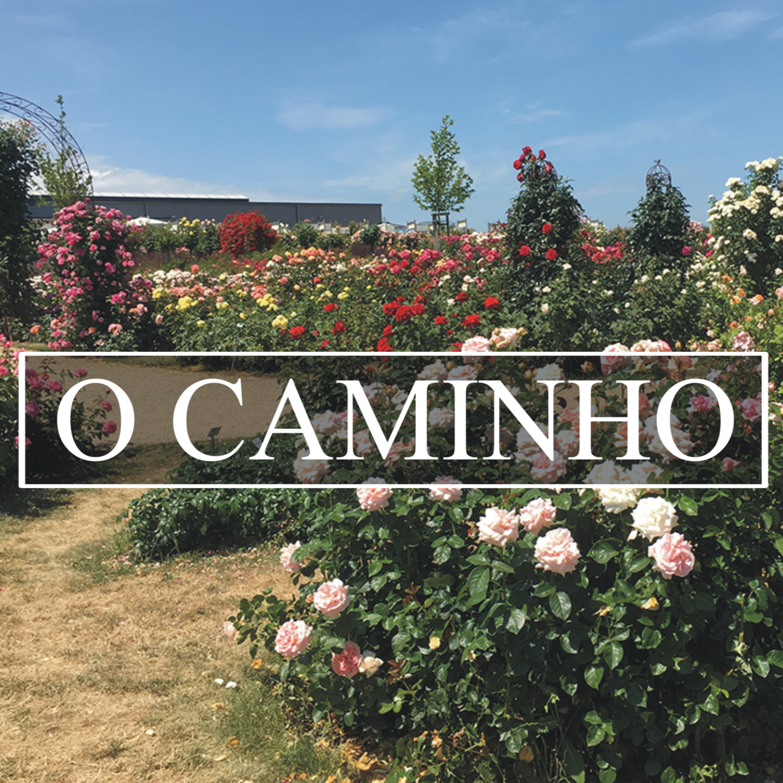 O Caminho