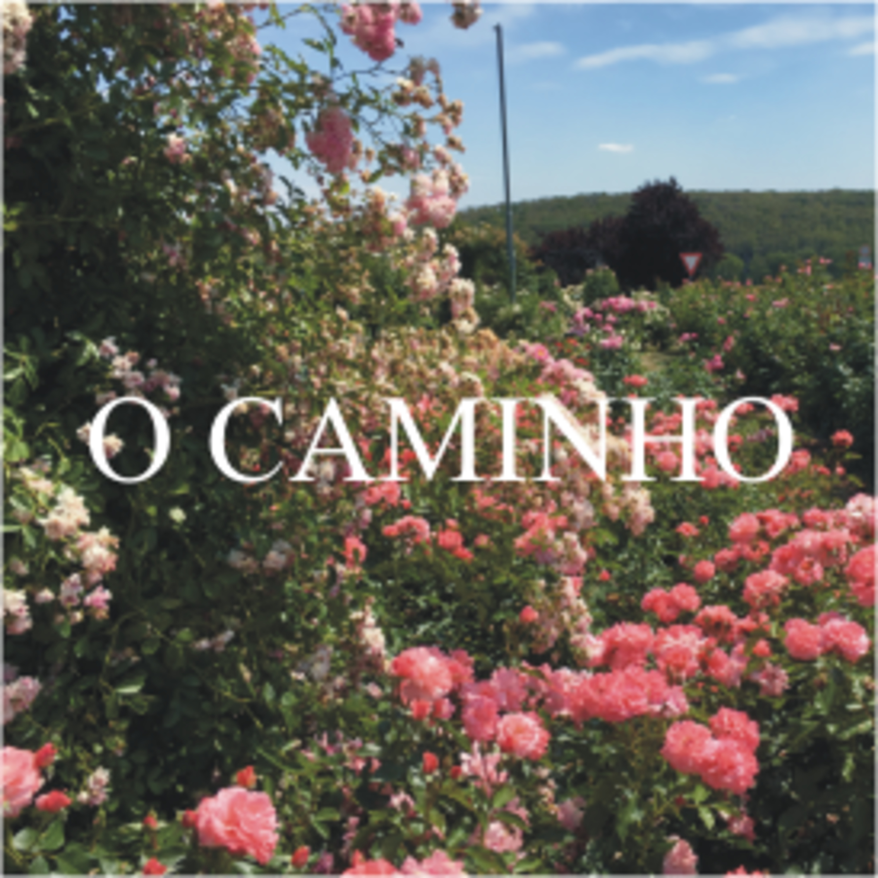 O Caminho