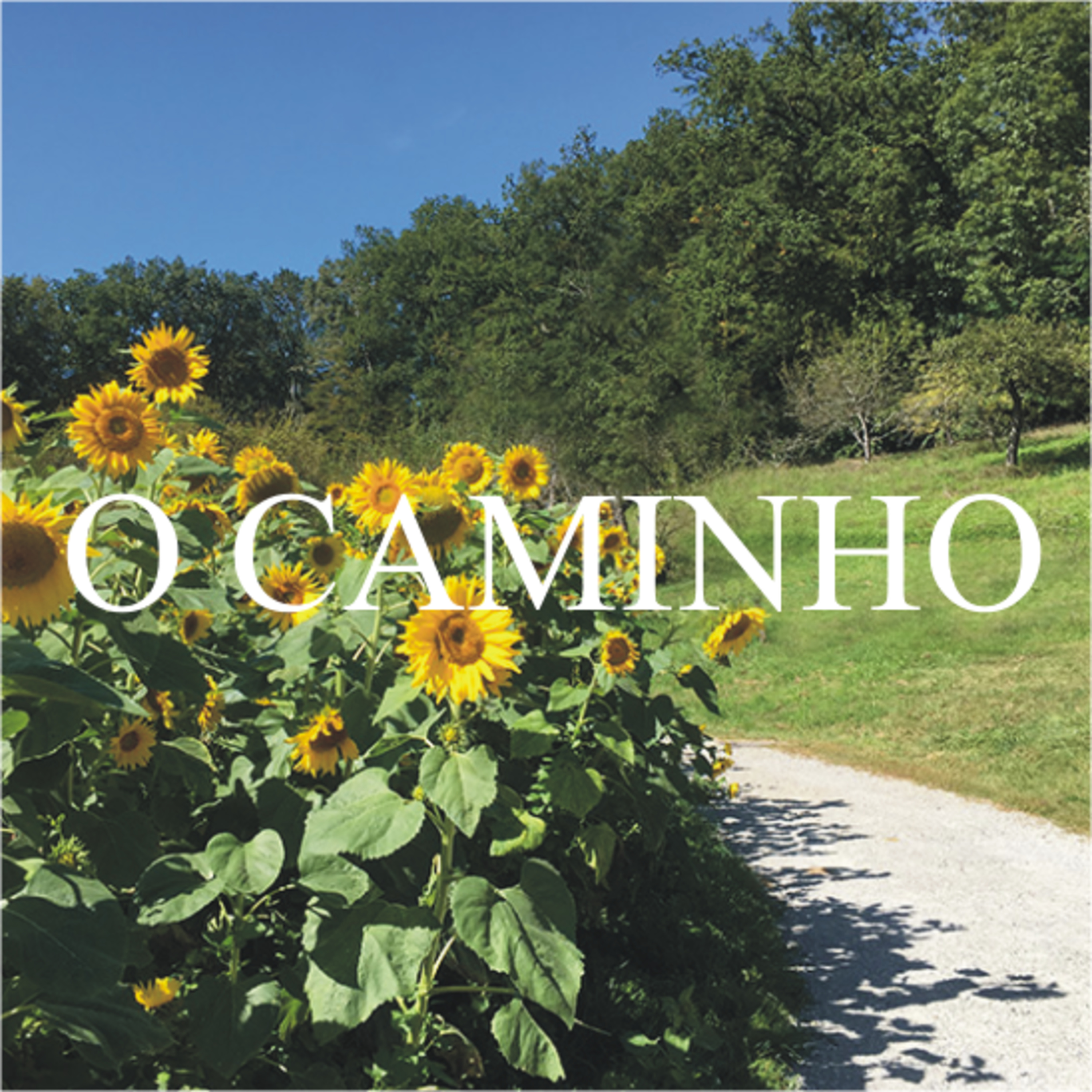O Caminho
