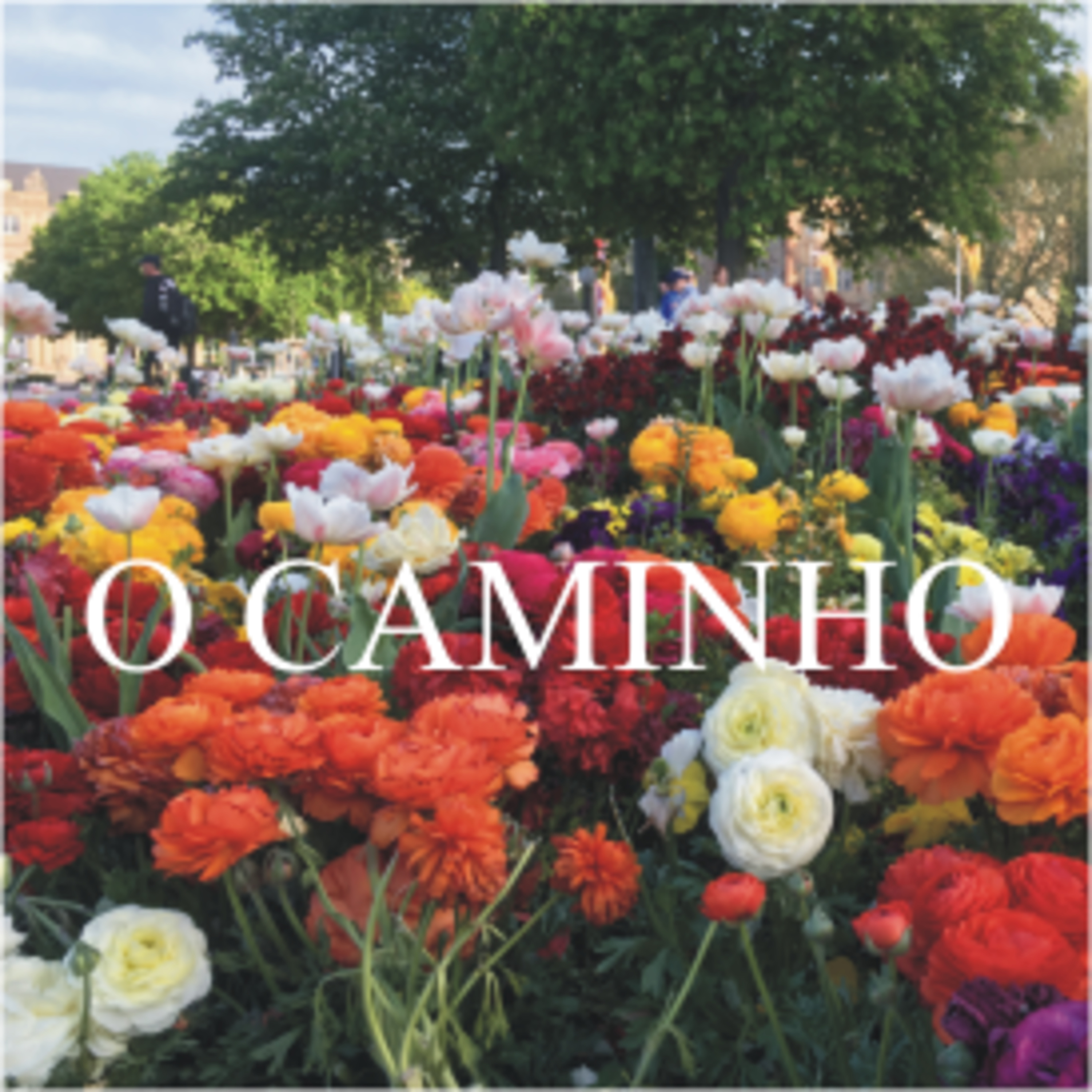 O Caminho