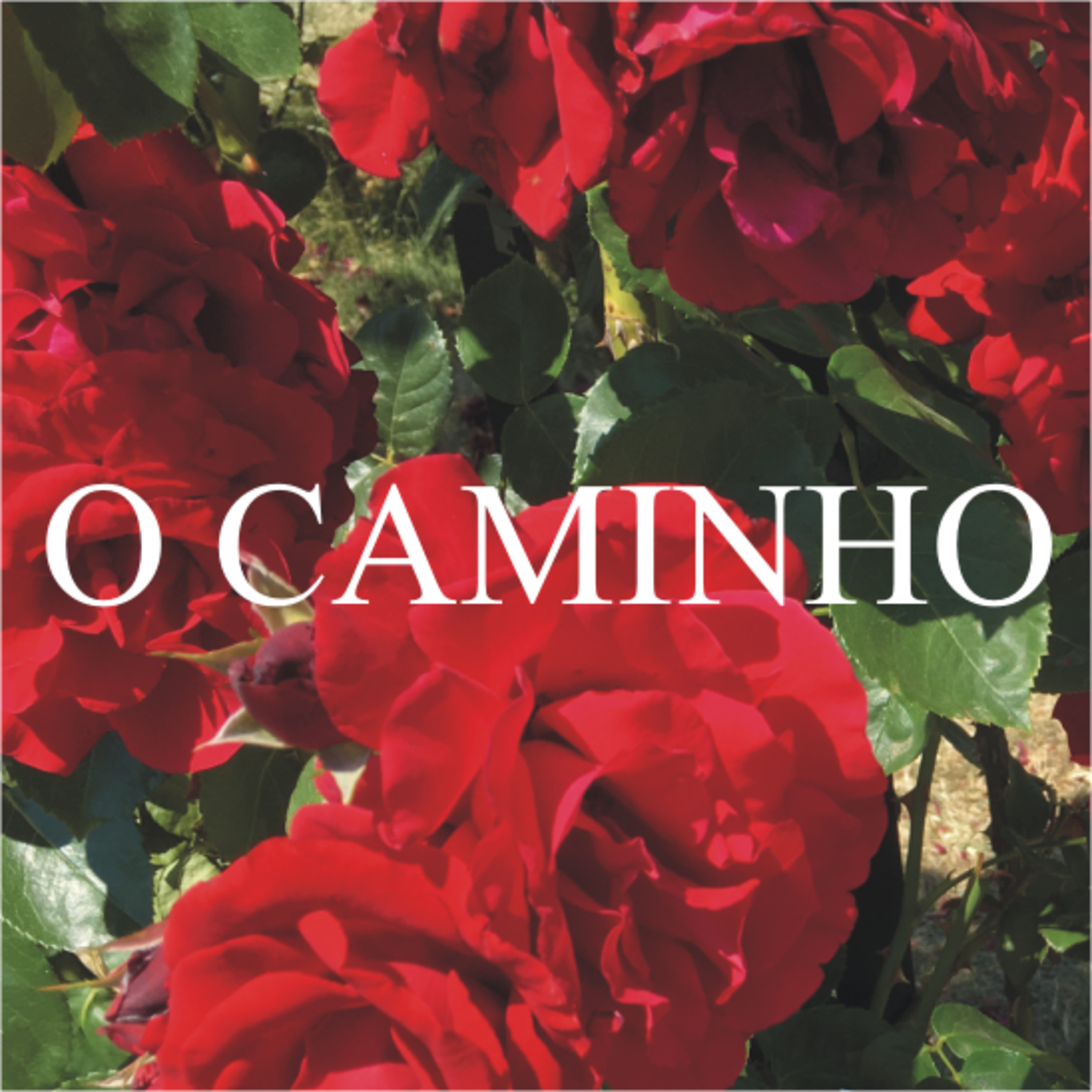 O Caminho