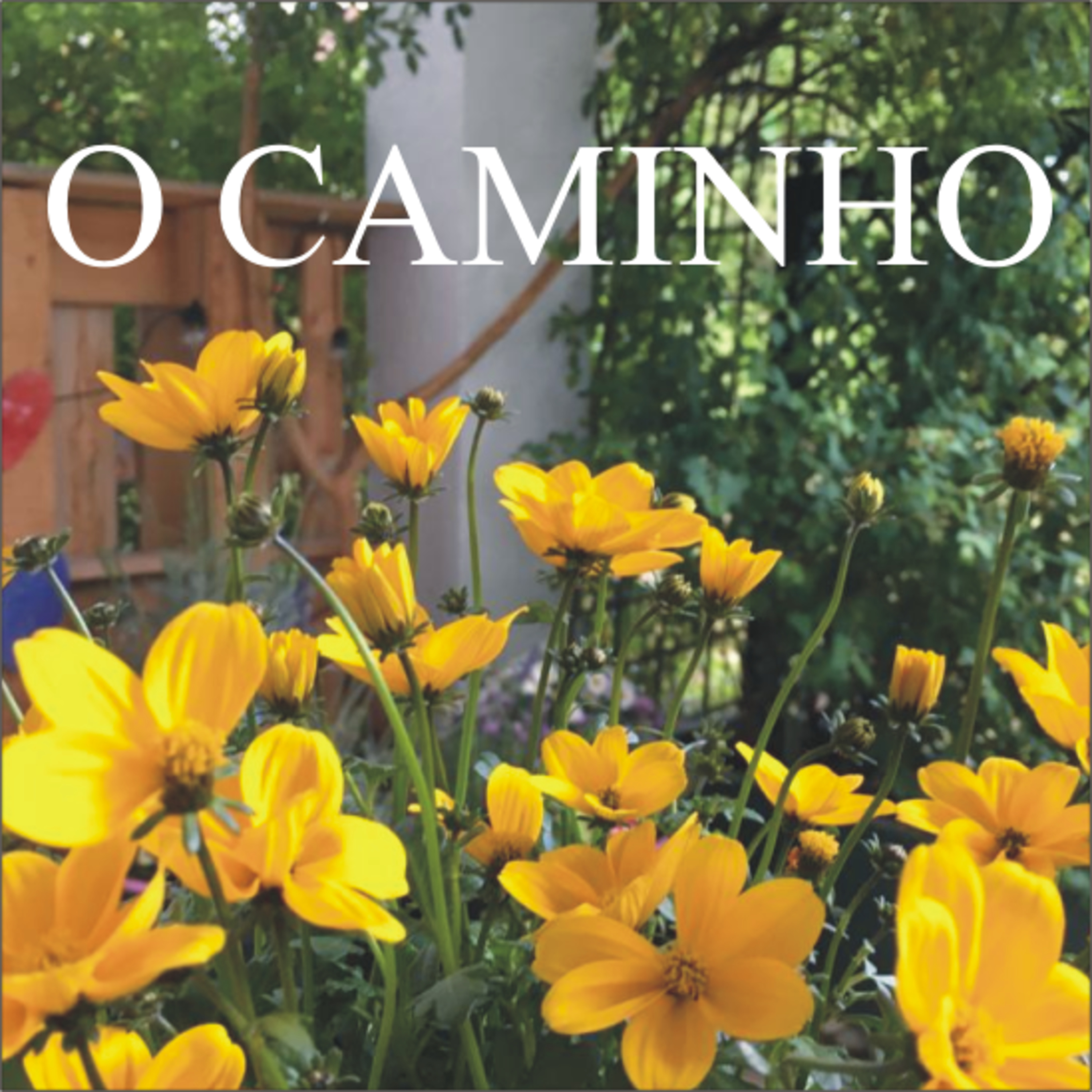 O Caminho