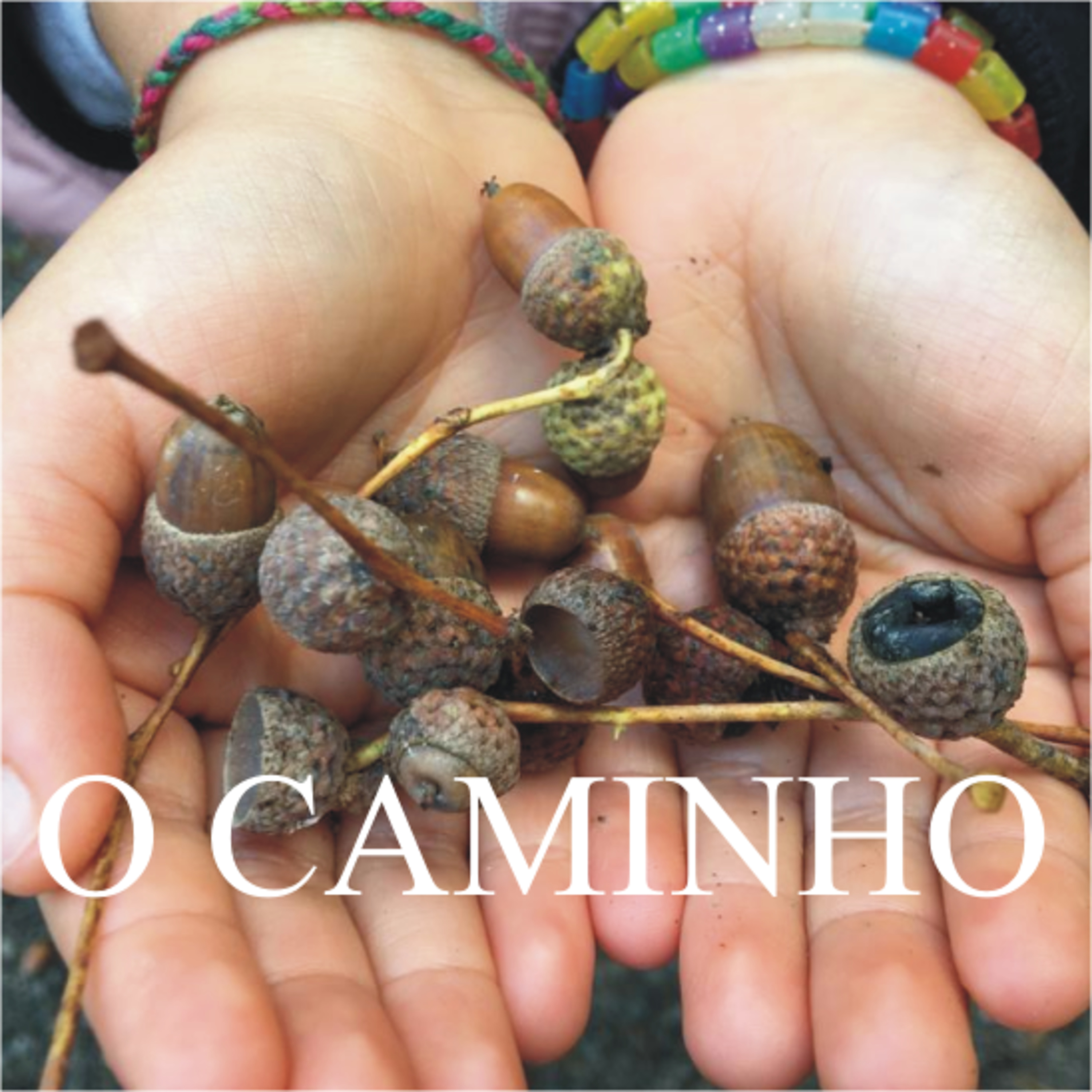 O Caminho