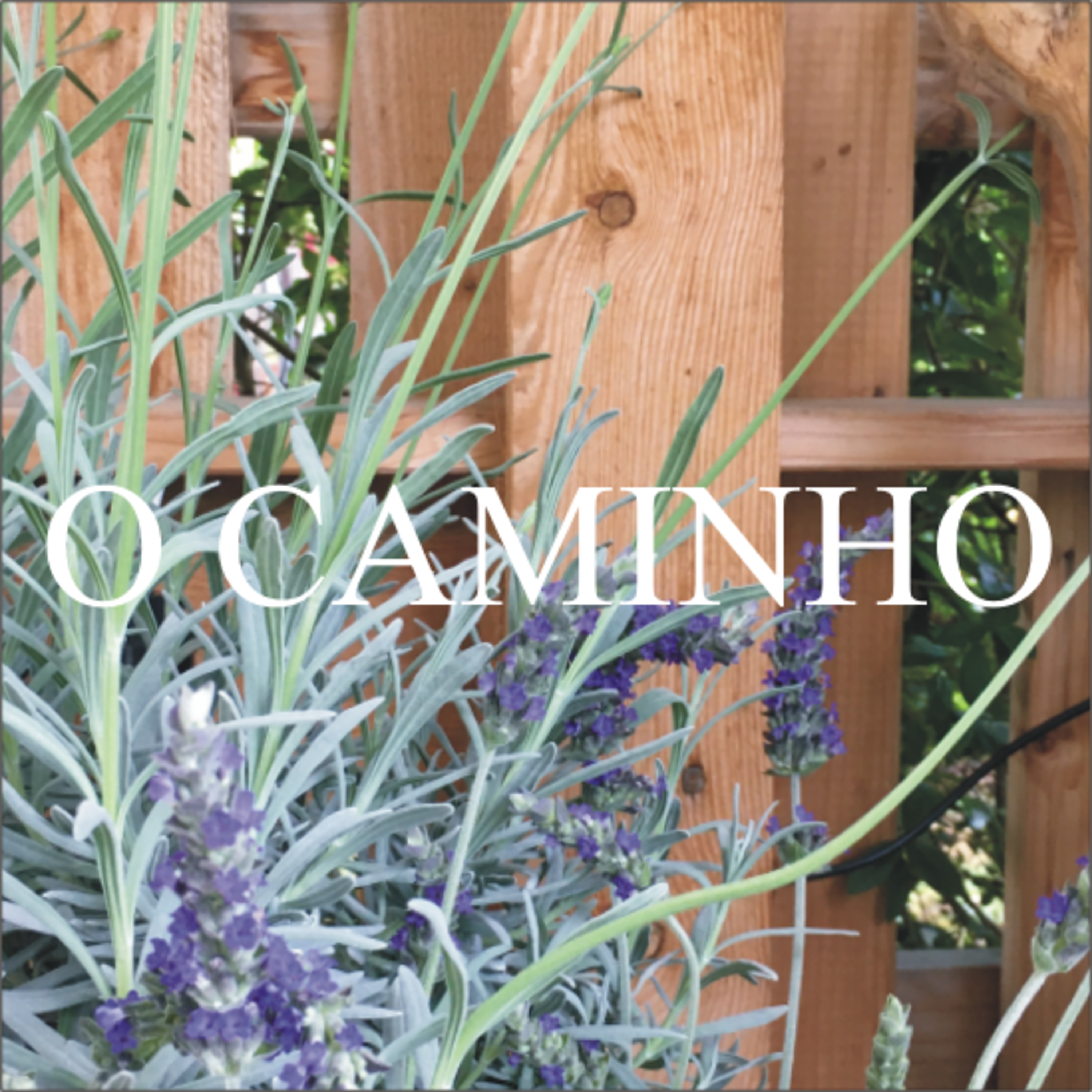 O Caminho