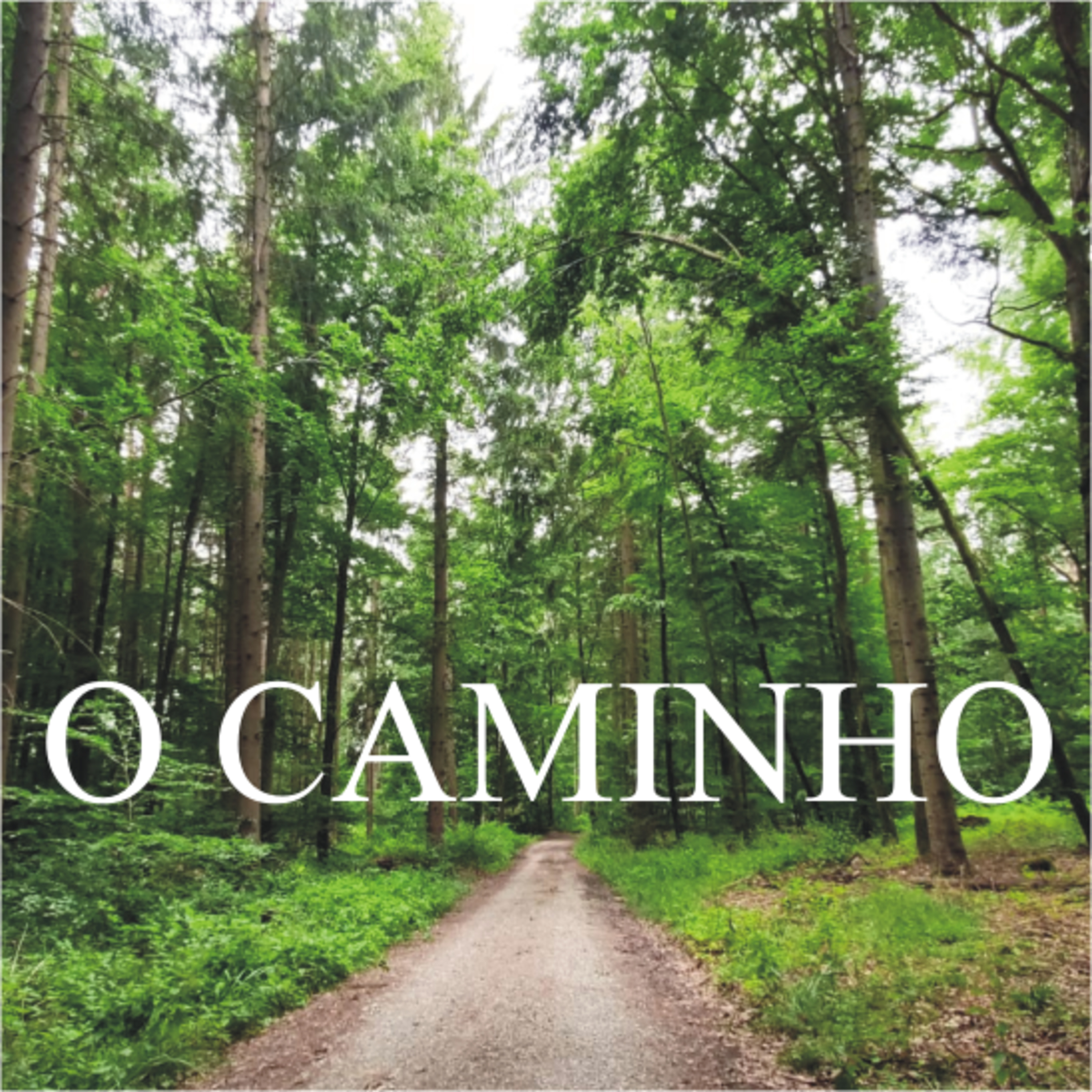 O Caminho