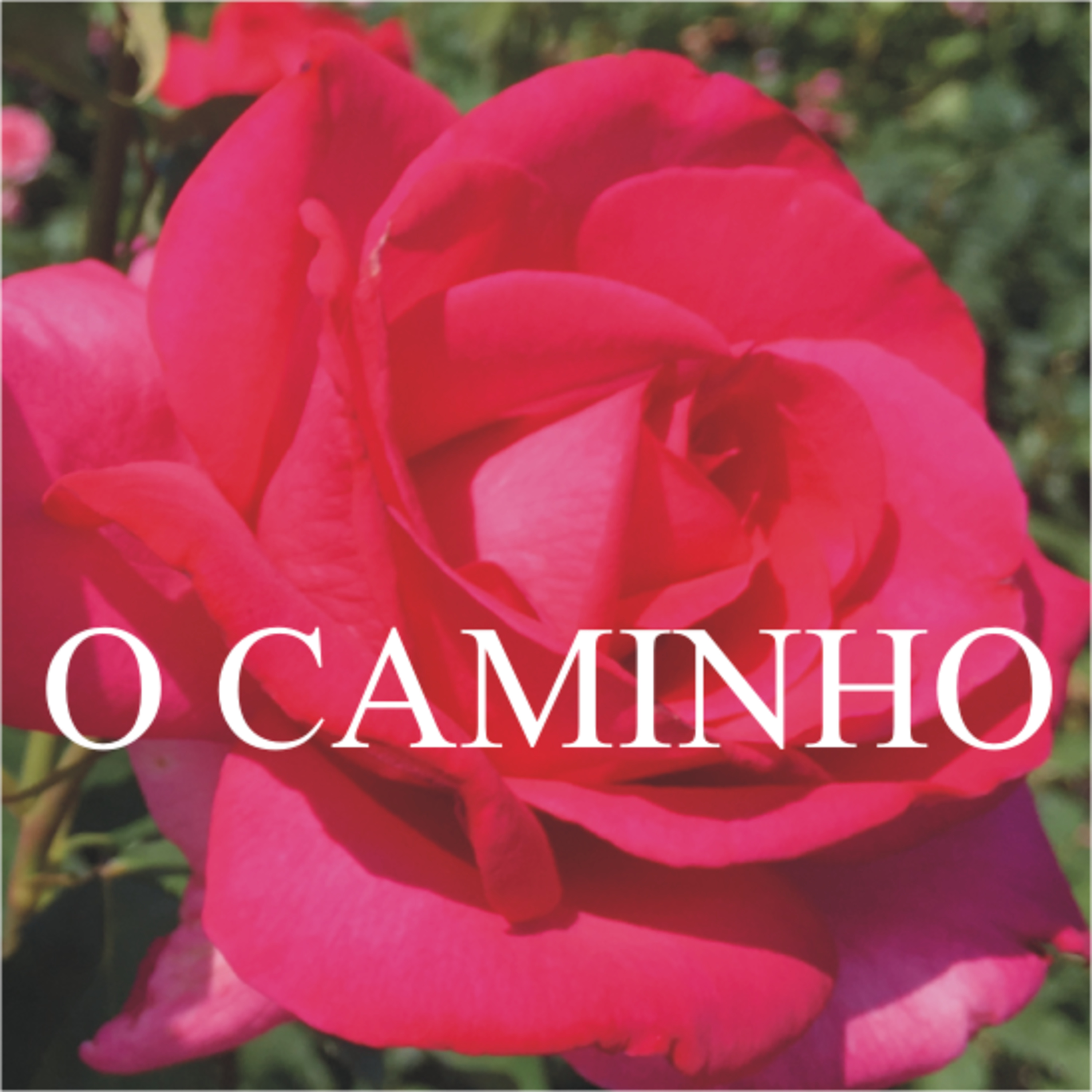 O Caminho