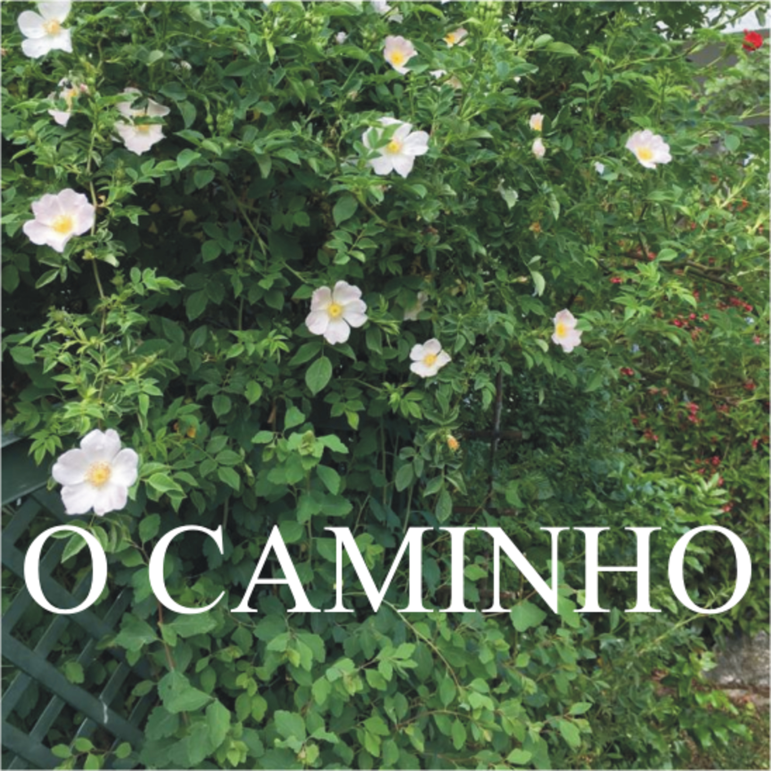 O Caminho