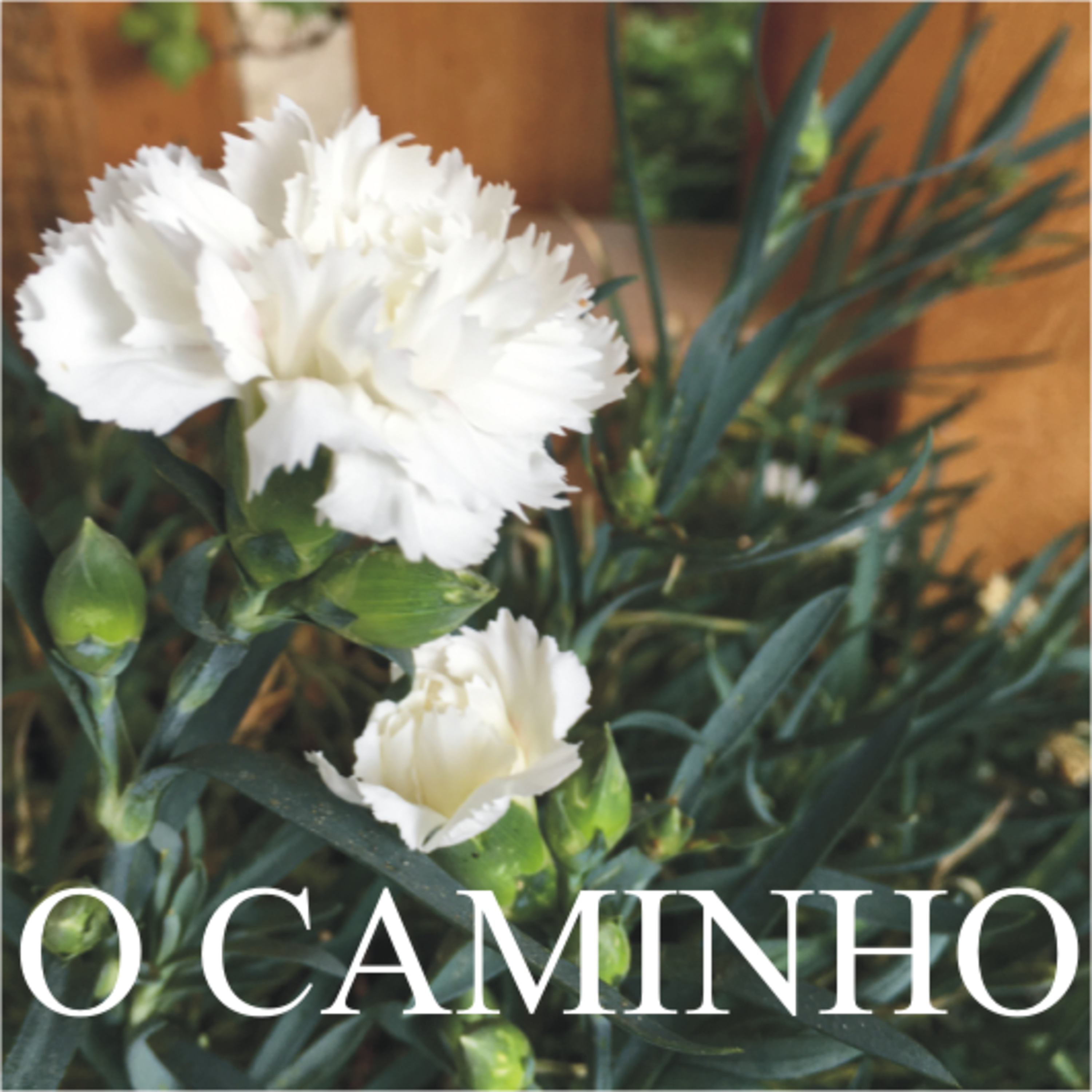 O Caminho