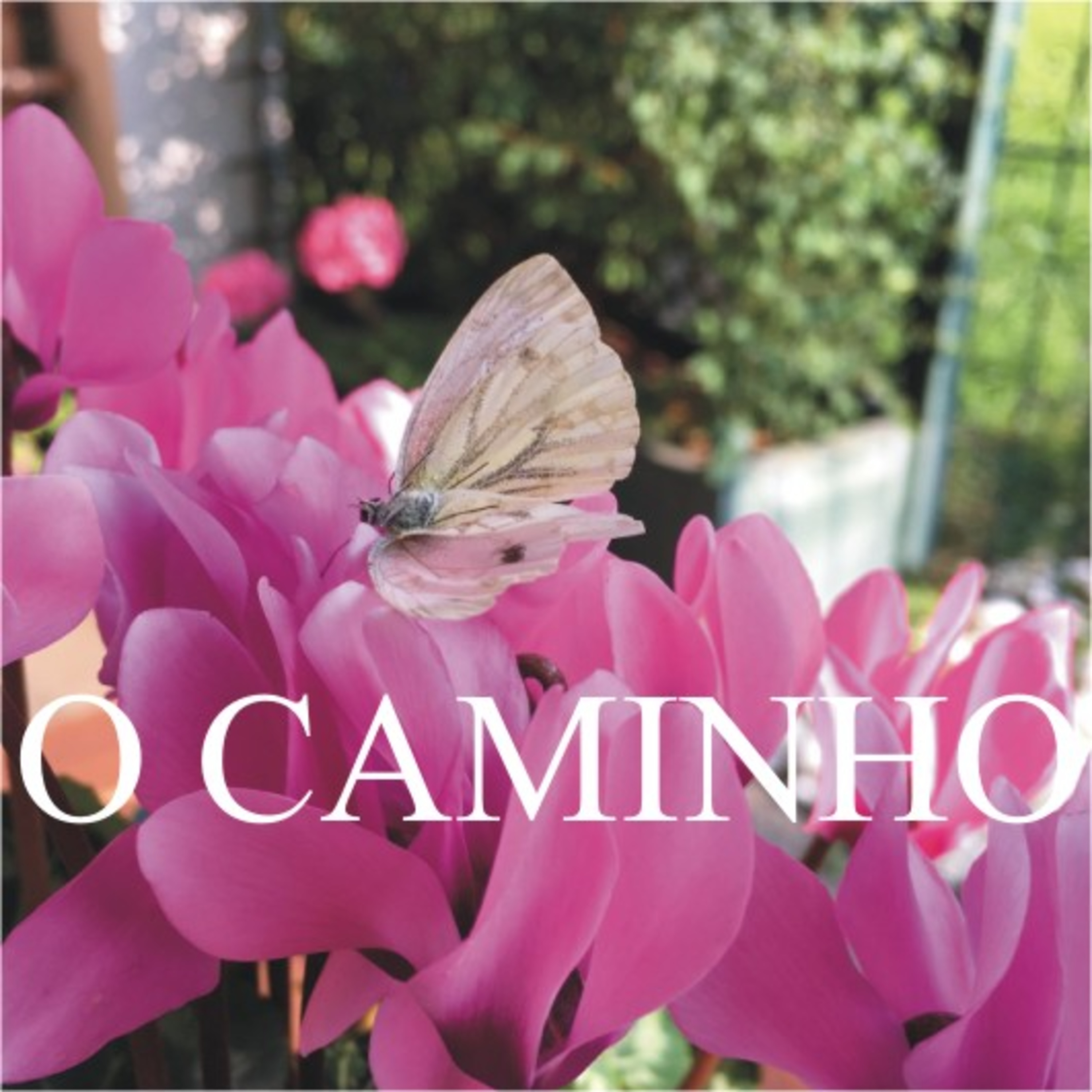 O Caminho