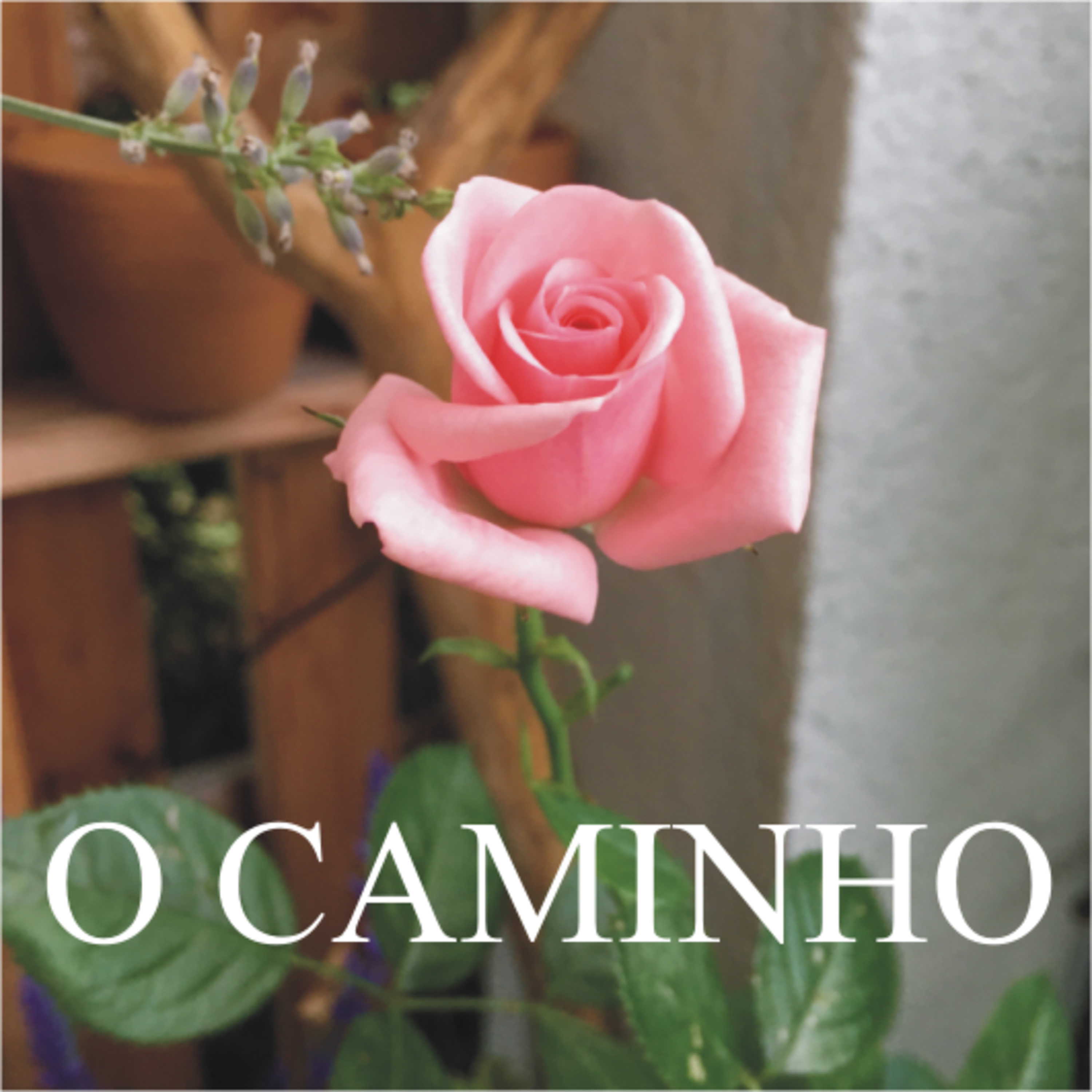 O Caminho