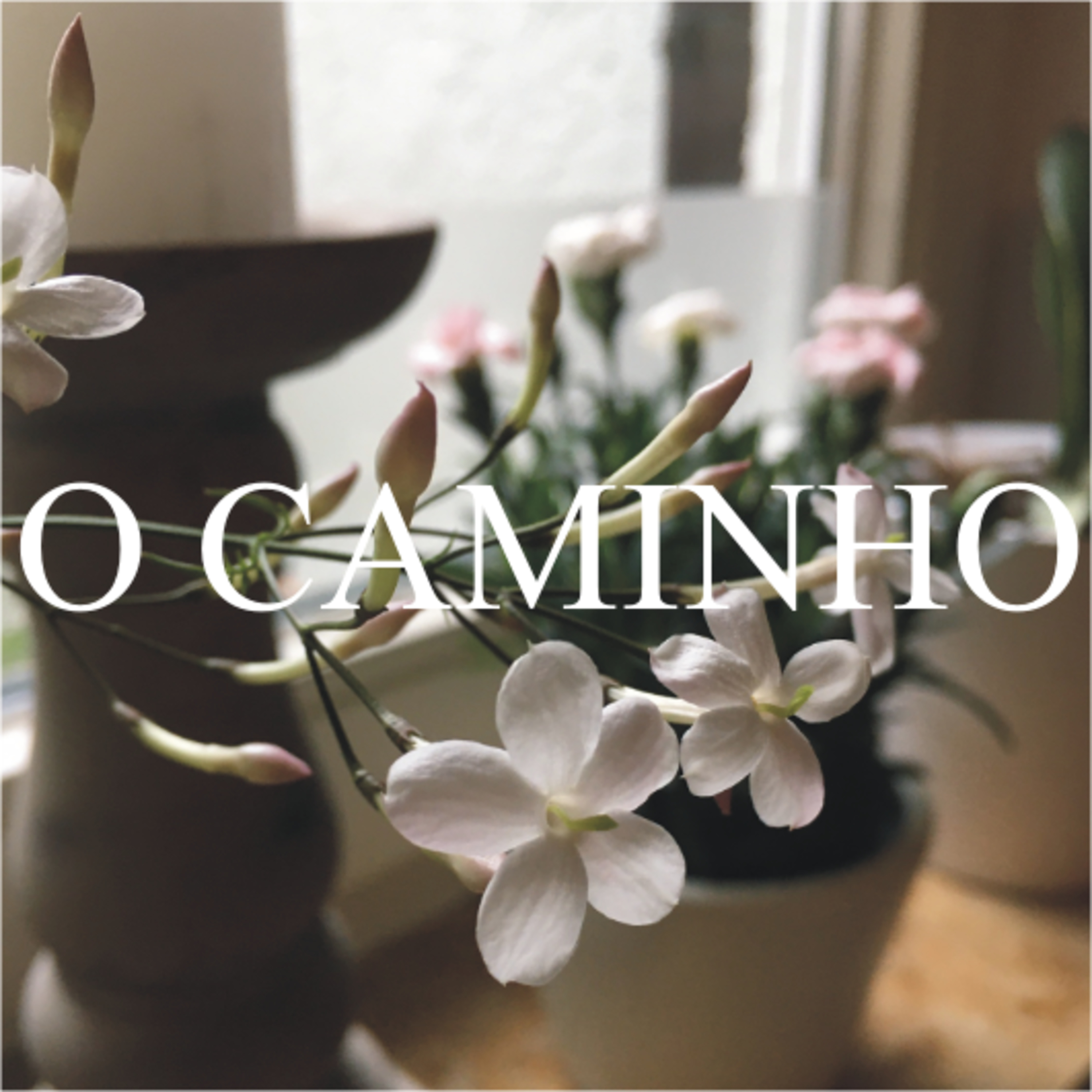 O Caminho