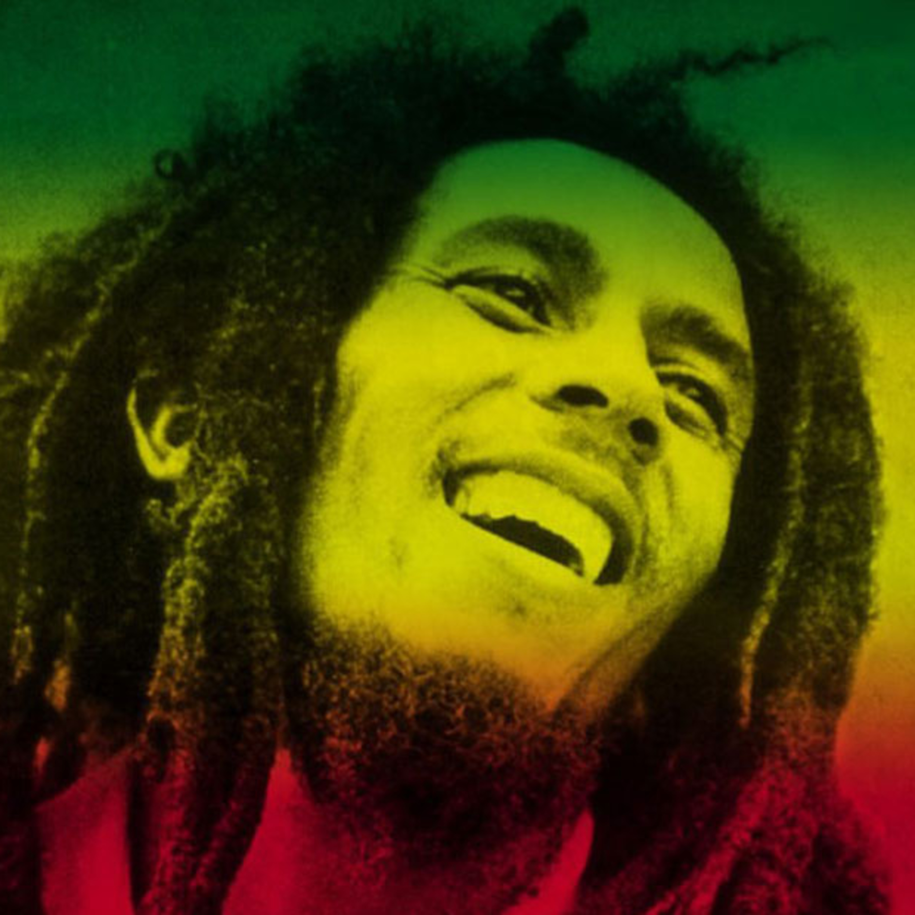 Bob Marley 2/3 episode artwork
