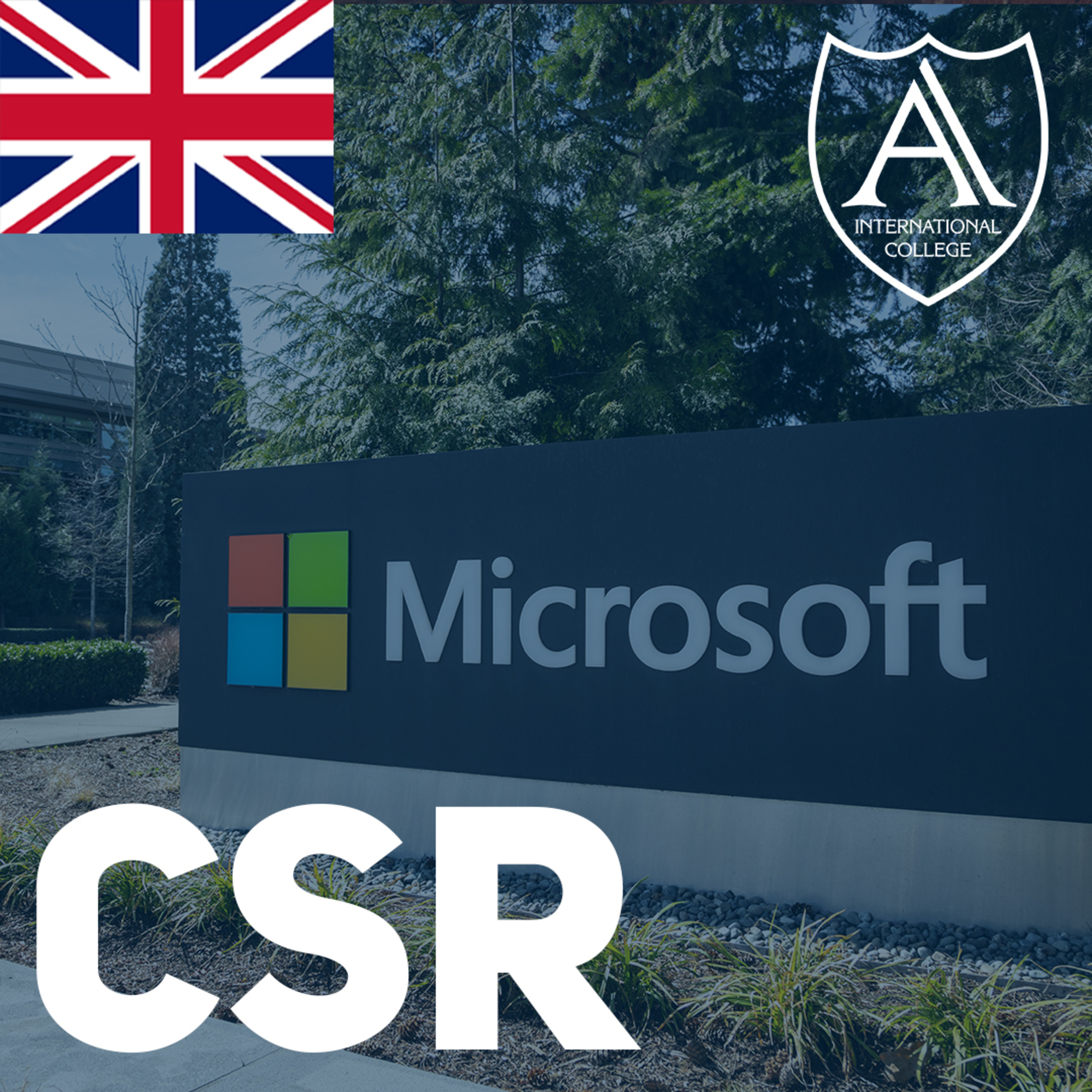 Corporate Social Responsibility: Microsoft Case Study episode artwork