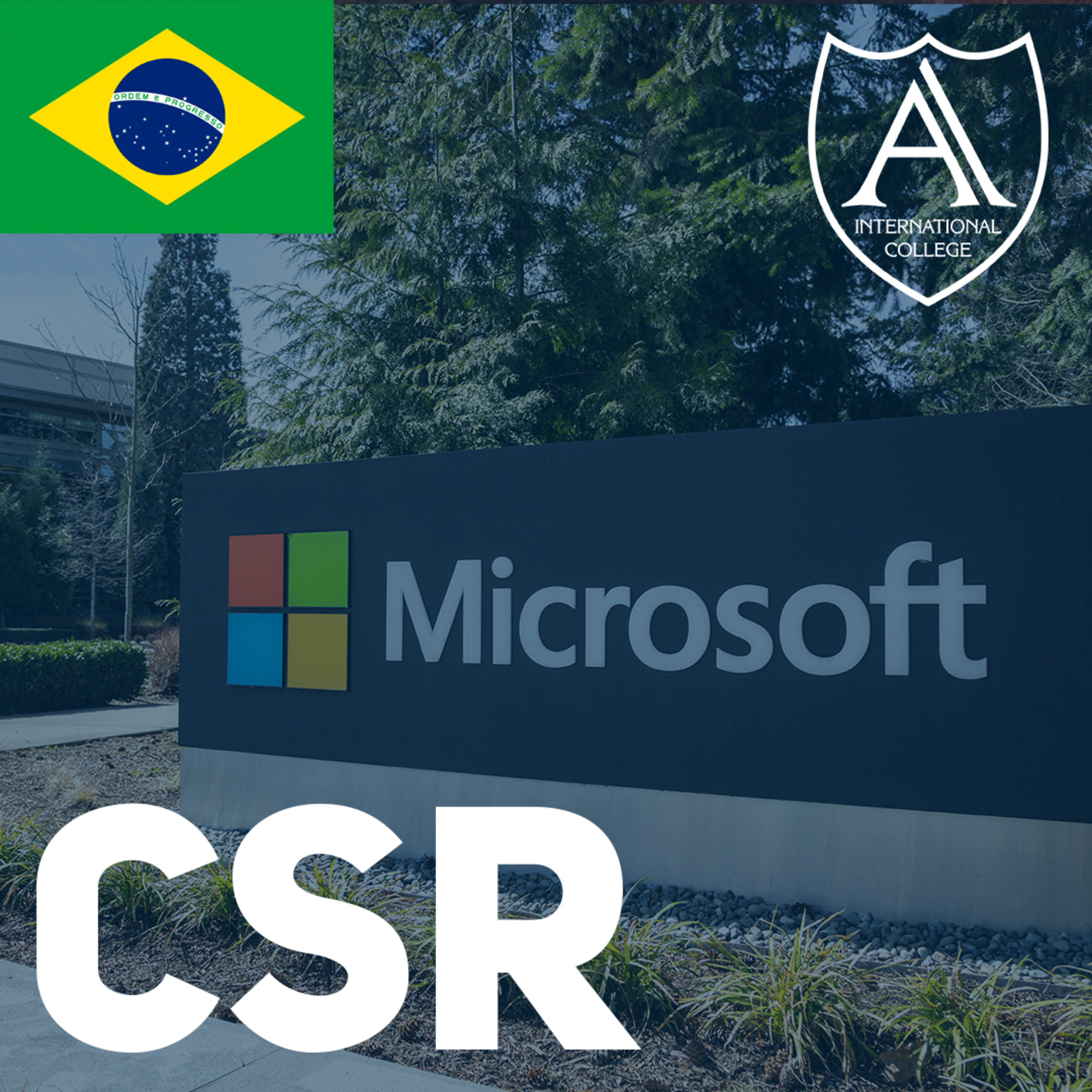 Responsabilidade Social Corporativa: Estudo de caso da Microsoft episode artwork