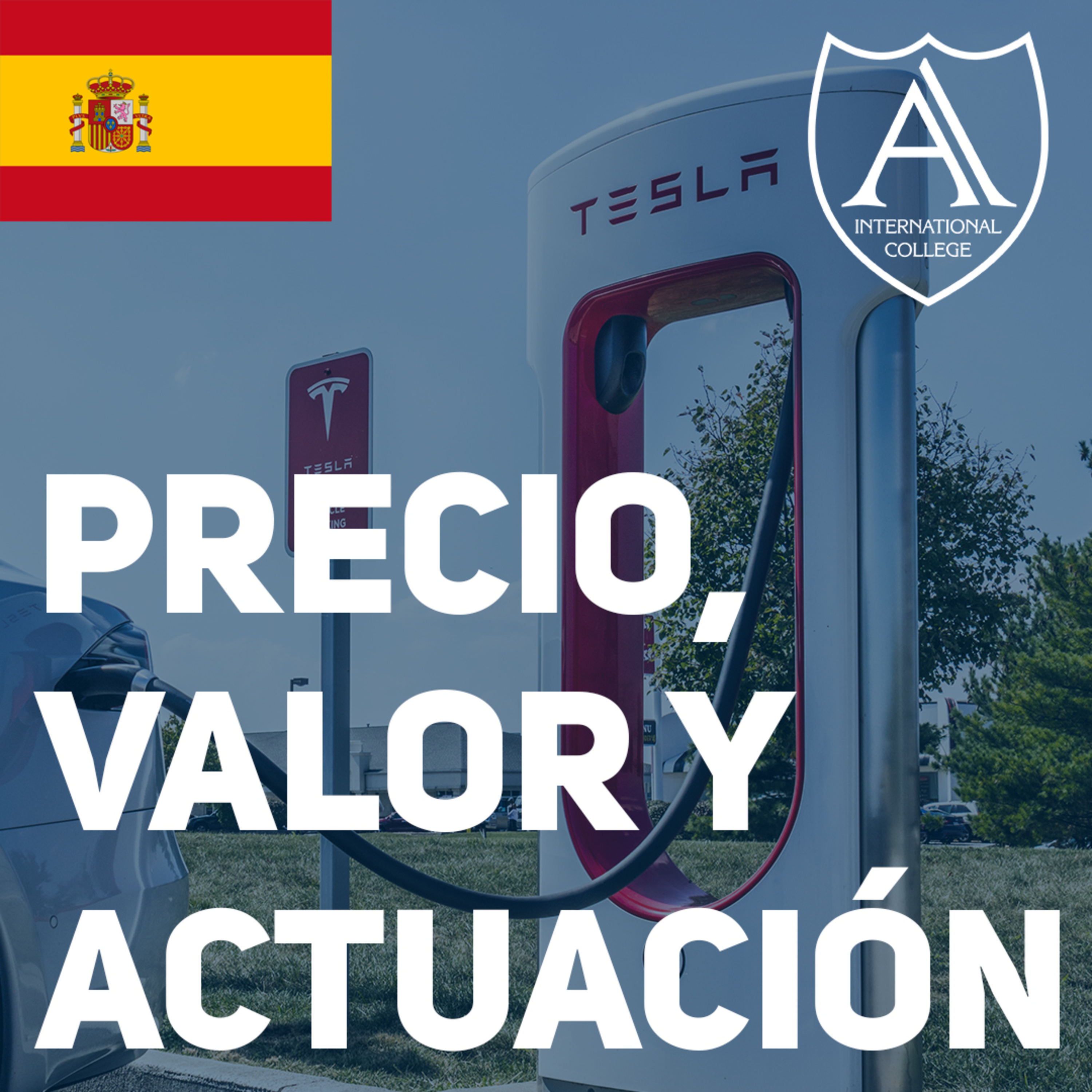 Precio, Valor y Rendimiento: Estudio del Caso de Tesla