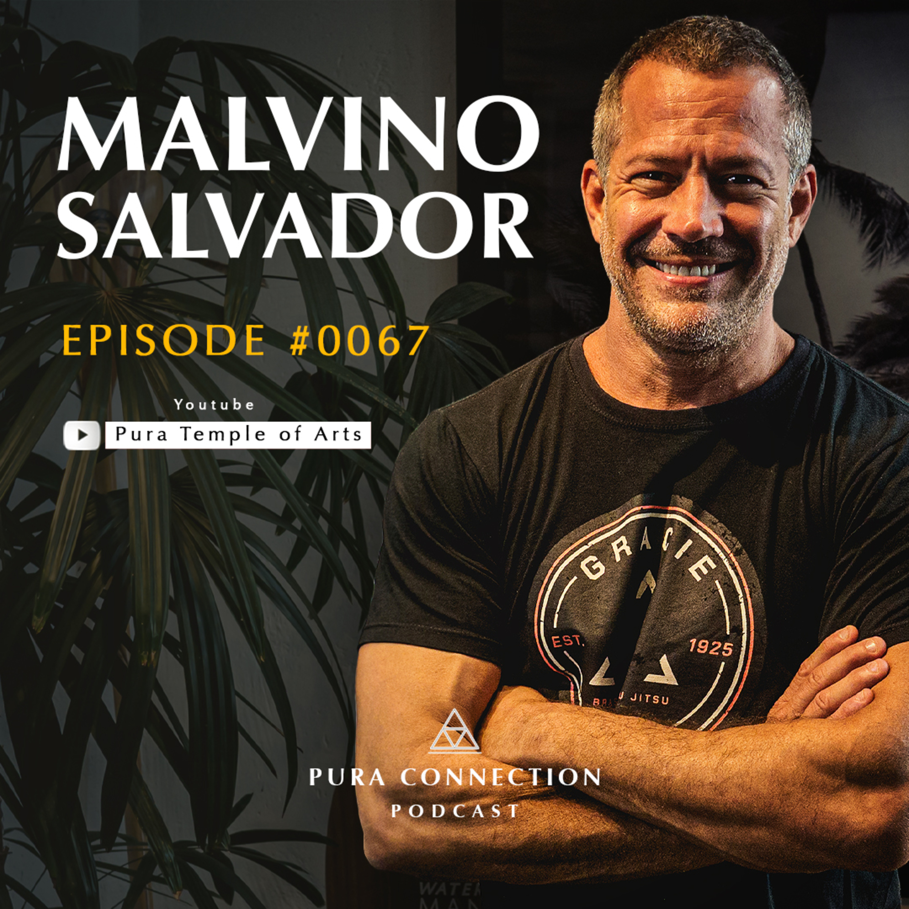 MALVINO SALVADOR - PURA CONNECTION #0067 episode artwork