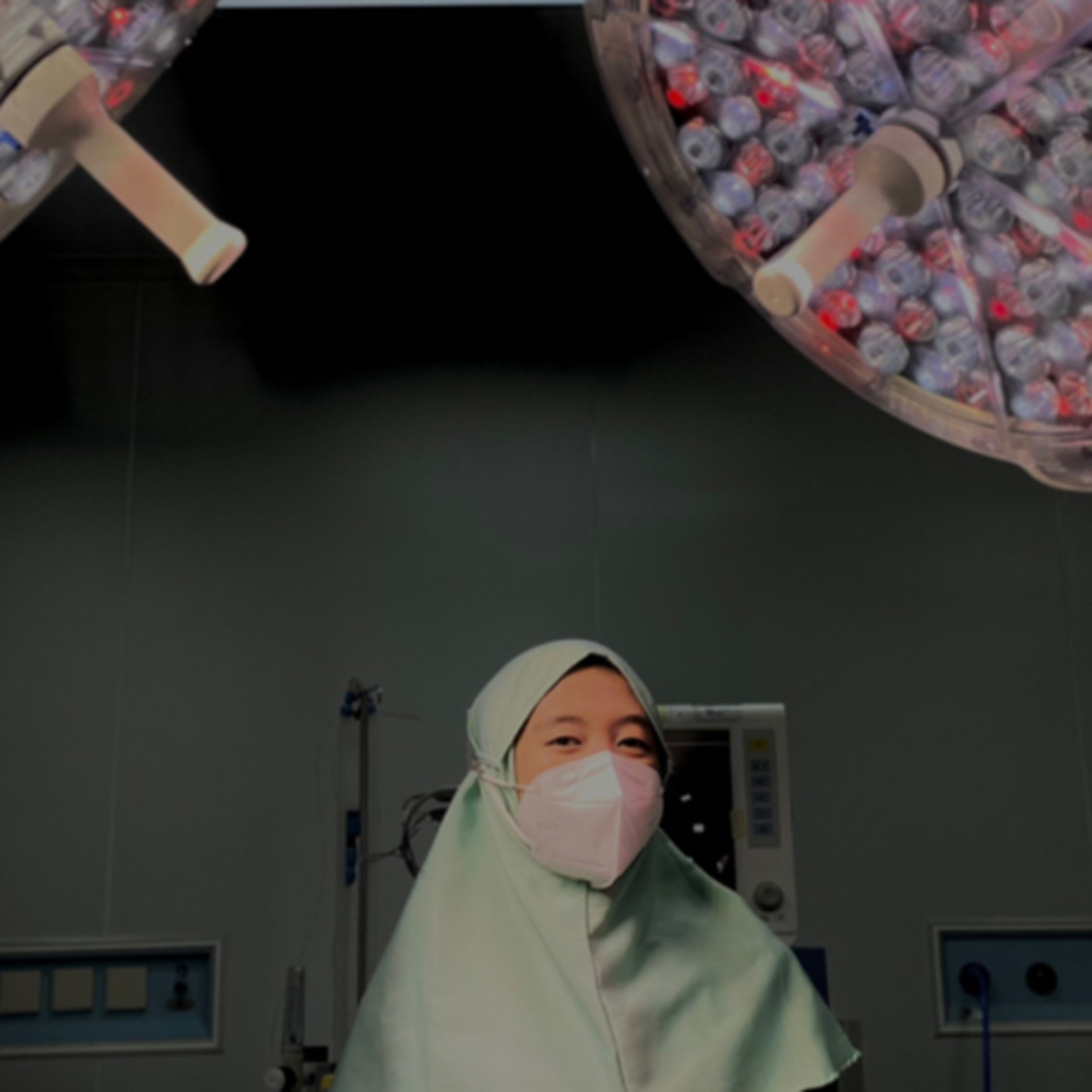 Dunia Ratu Dania