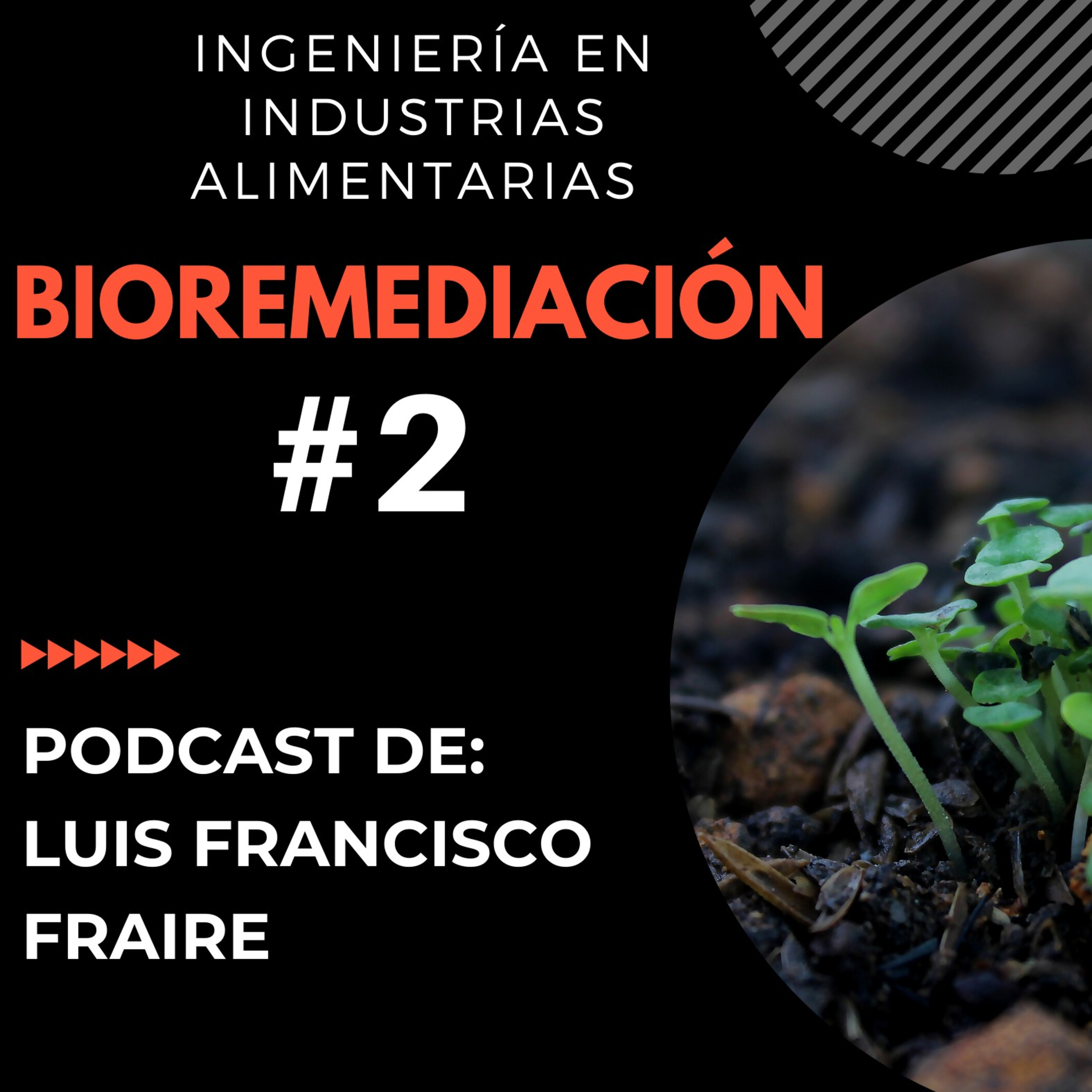 Biorremediación- Microbiología Agrícola 