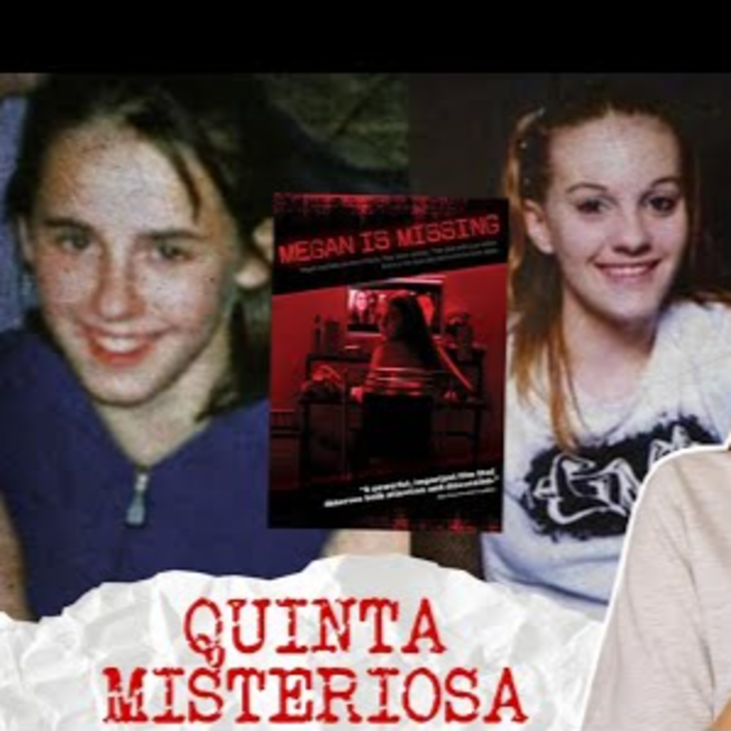 A verdadeira história do filme " Megan is Missing "