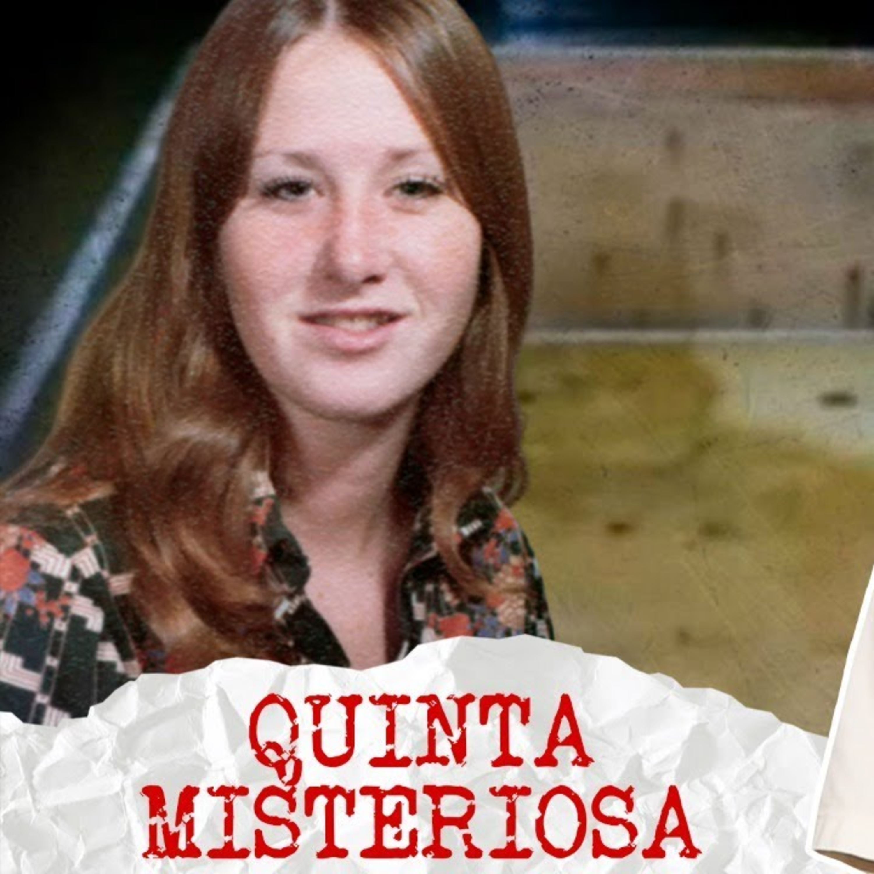 O caso bizarro de Colleen Stan | A garota da caixa