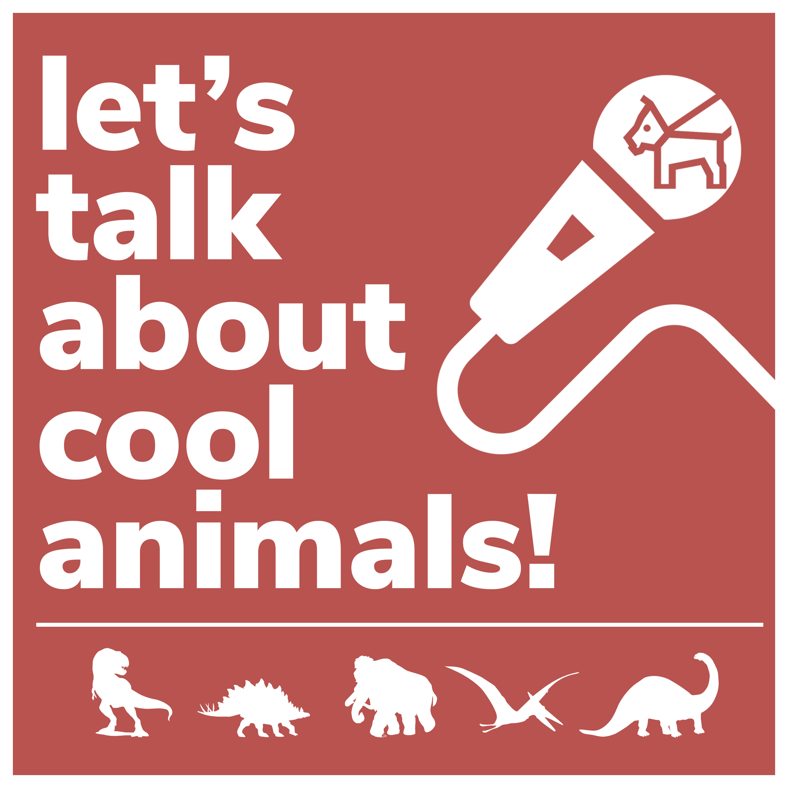 Let\'s Talk About Cool Animals!