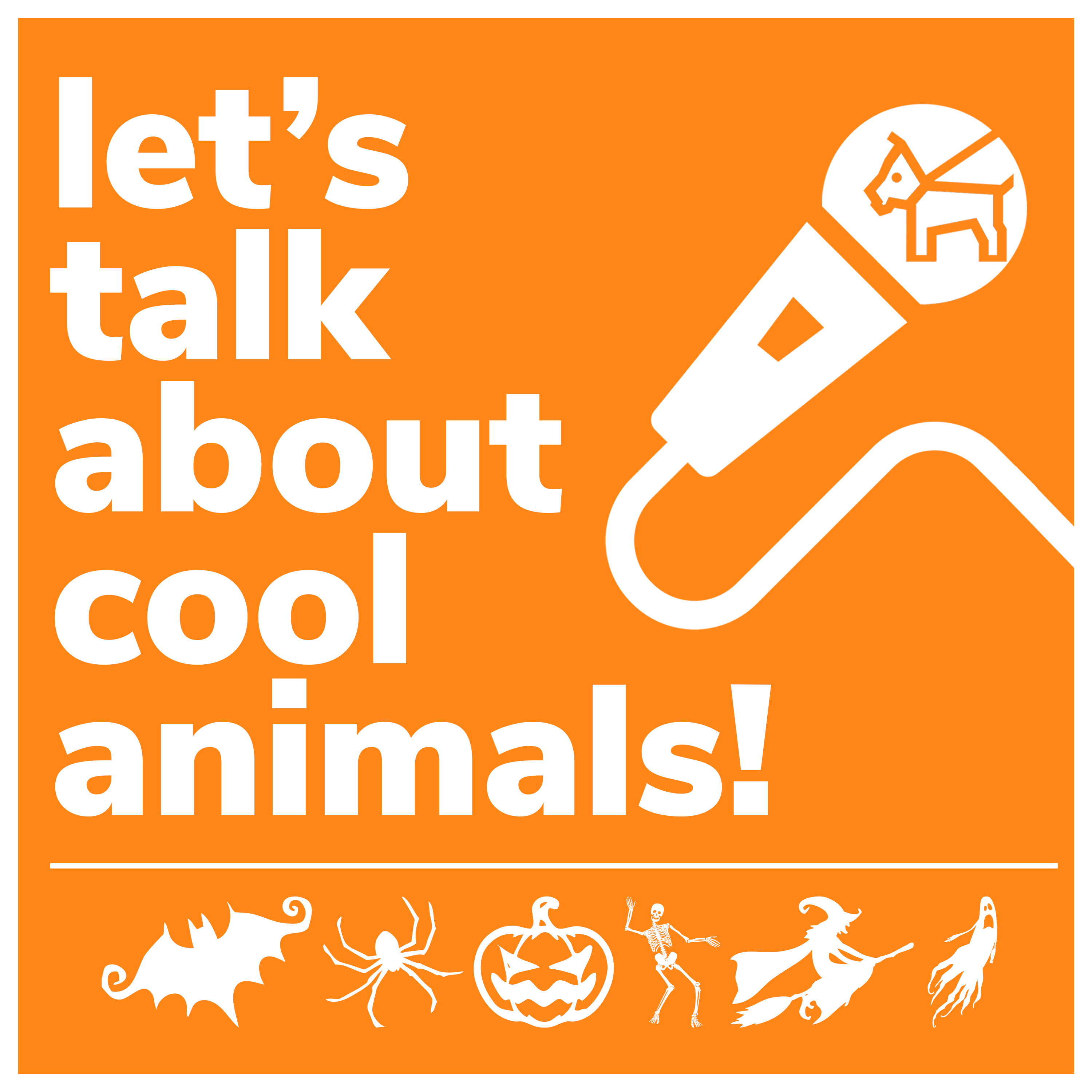 Let\'s Talk About Cool Animals!