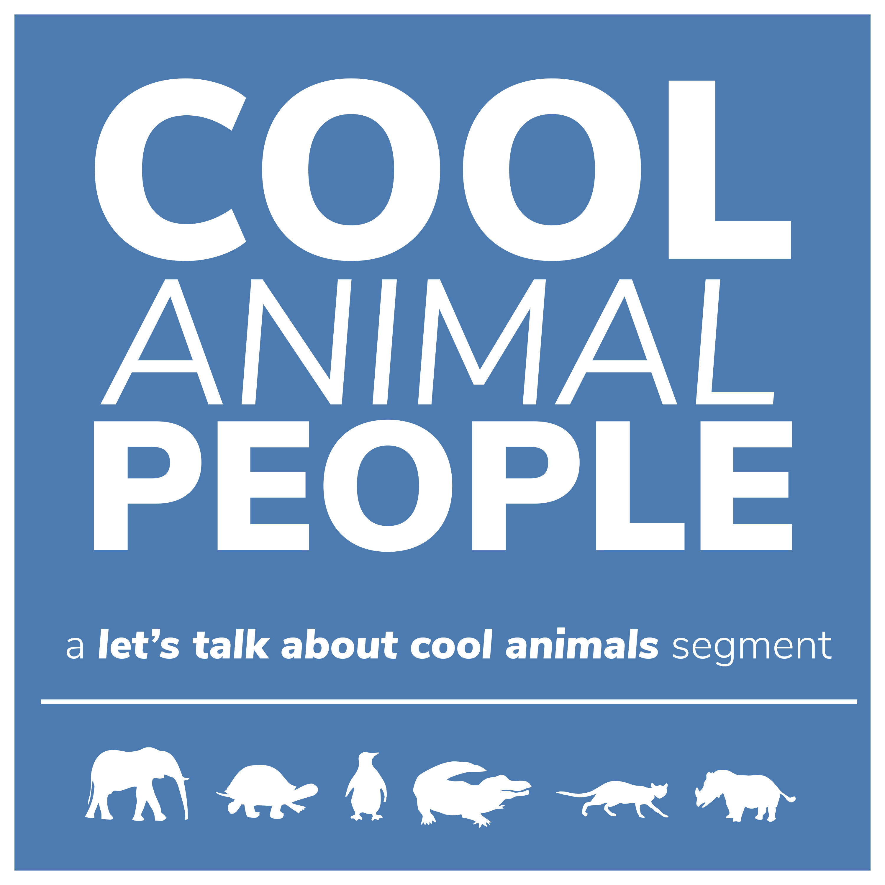 Let\'s Talk About Cool Animals!