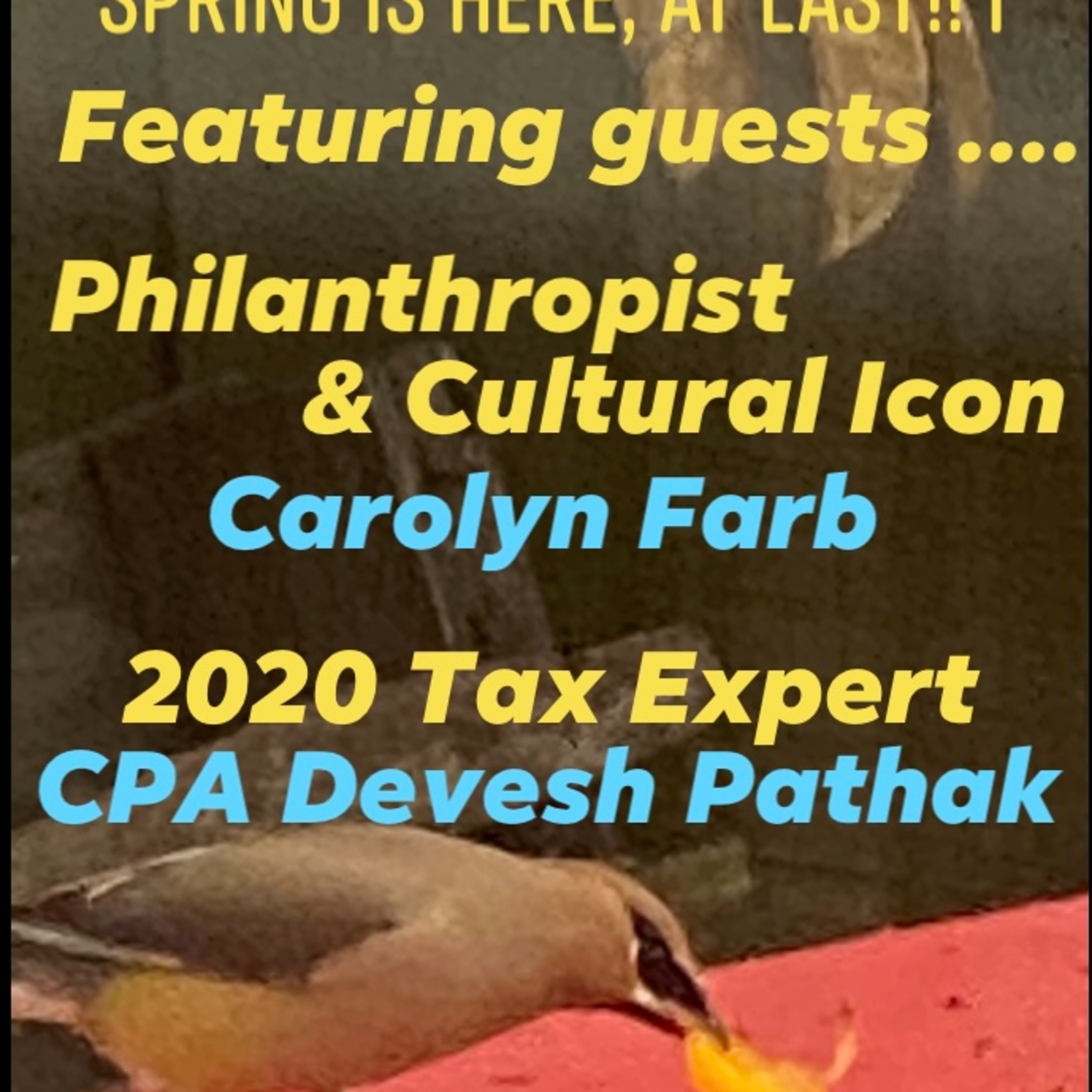 IANR 2112 032021 Celebrity Philantrophist Carolyn Farb; Tax Expert CPA Devesh Pathak; Mumbai Blogger Avinash Gavai LIVE episode artwork
